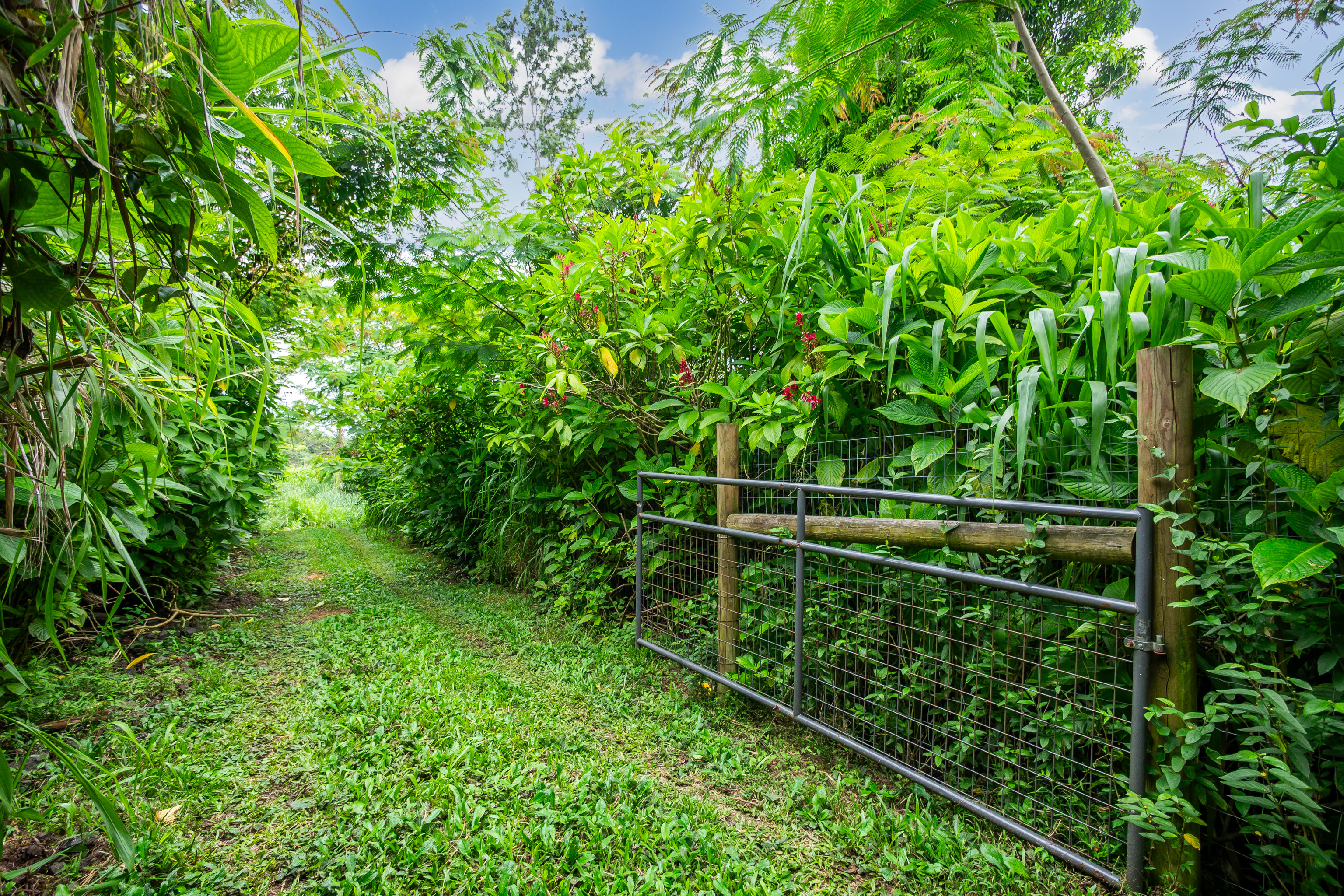 87-3476 Mamalahoa Highway Property Photo 5