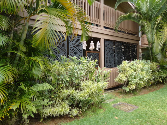 4770 Pepelani Lp 124 Property Photo 11