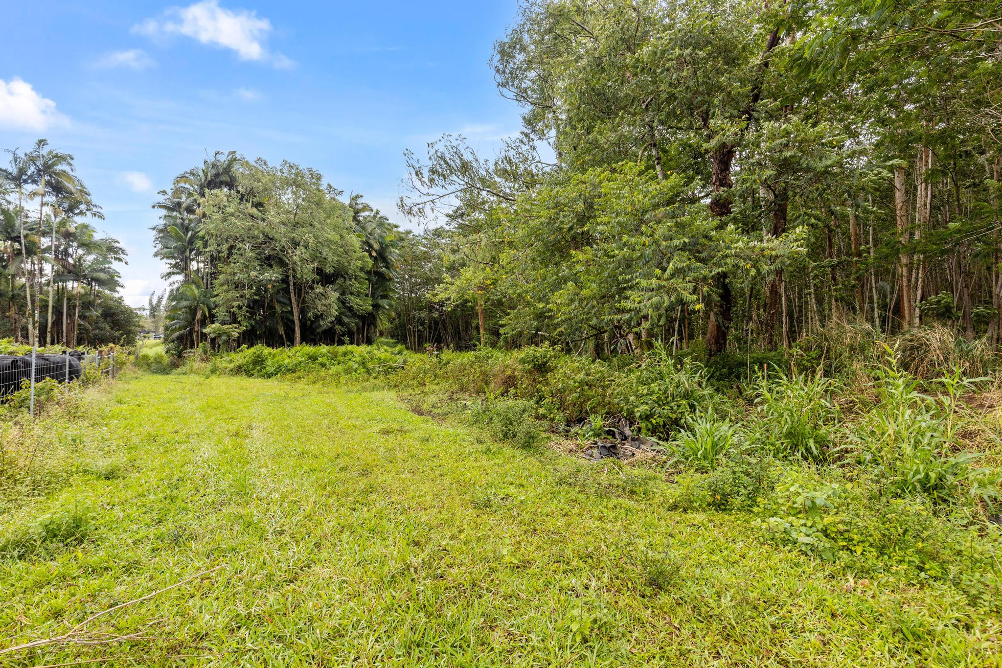 17-855 Olaa Rd Property Photo 13