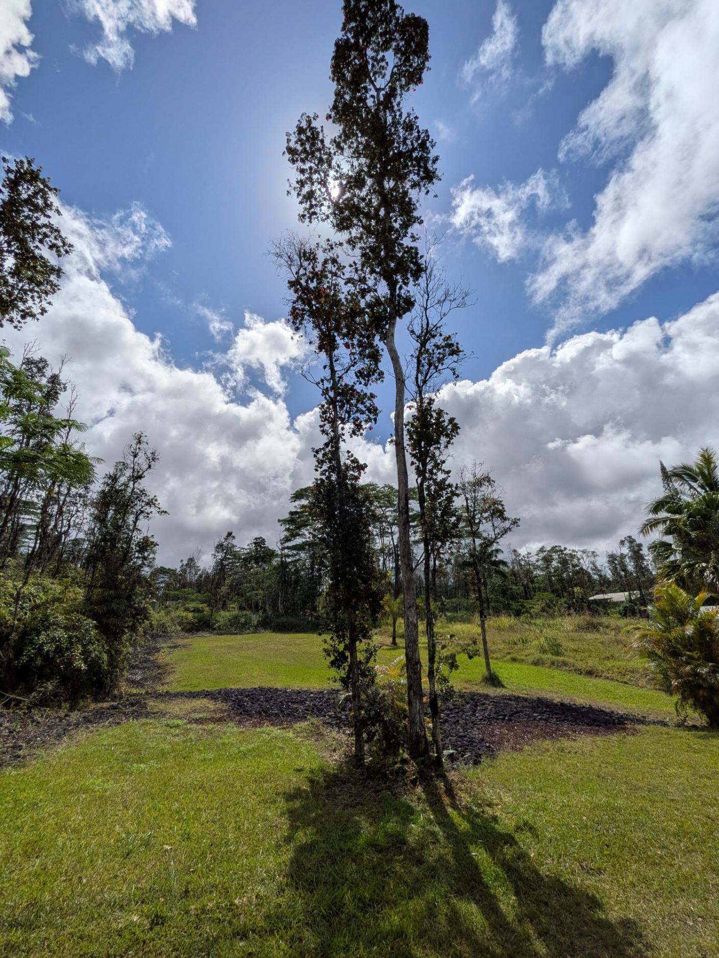 Molokai Rd Property Photo 9