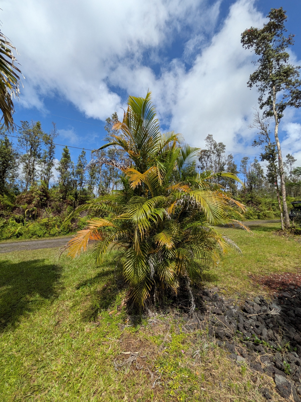Molokai Rd Property Photo 10