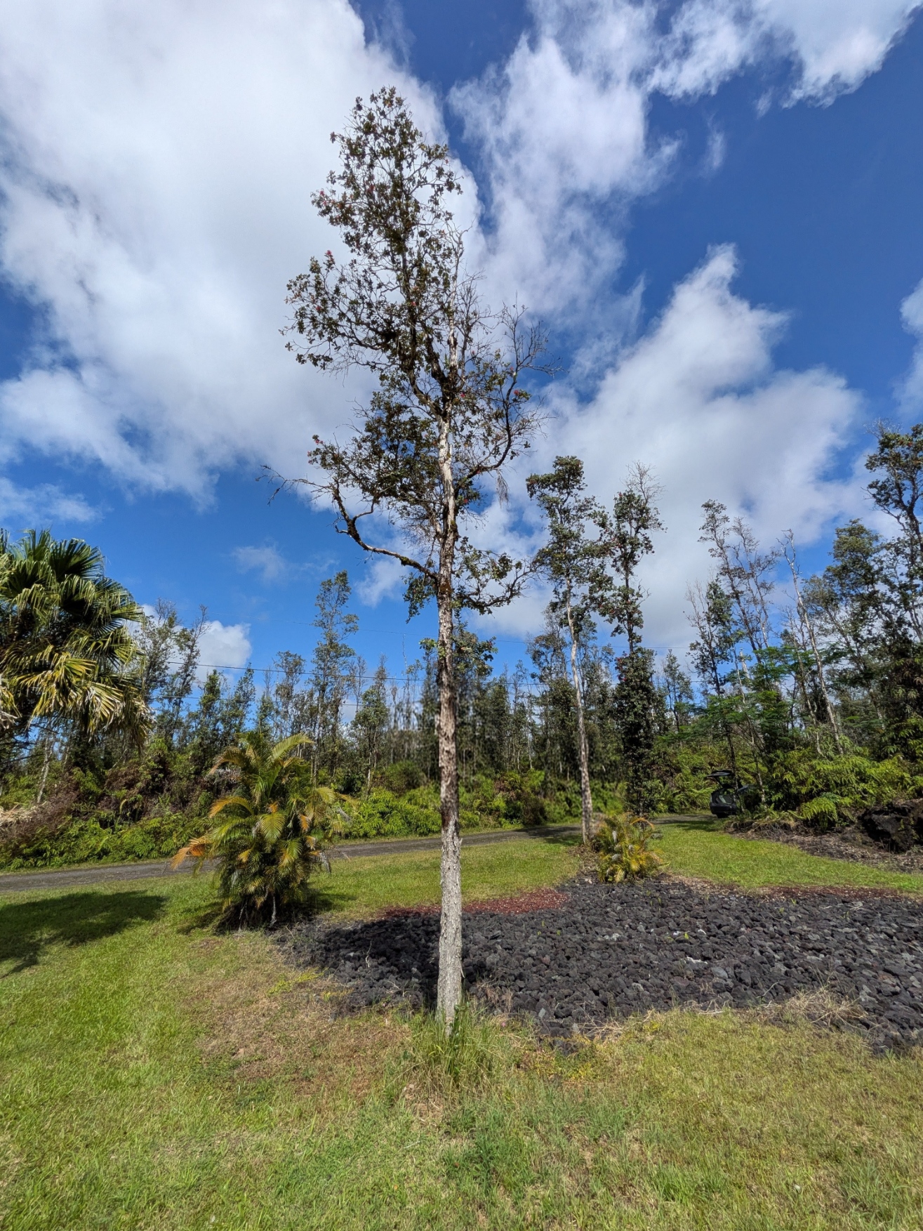 Molokai Rd Property Photo 11