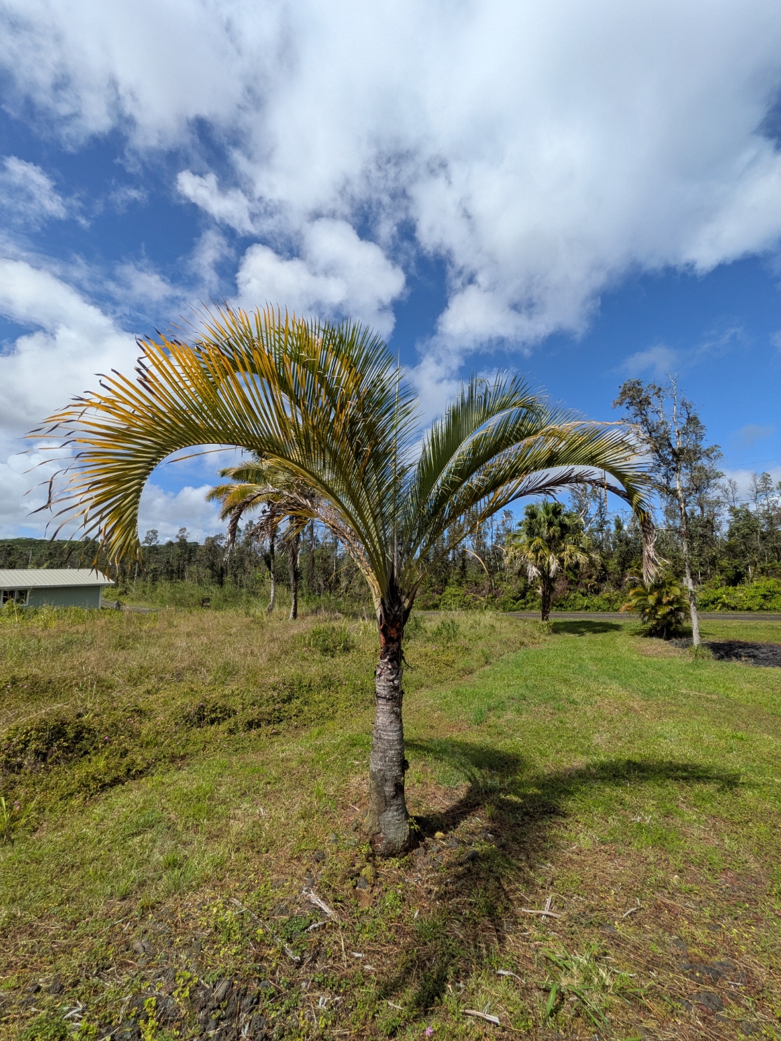 Molokai Rd Property Photo 12