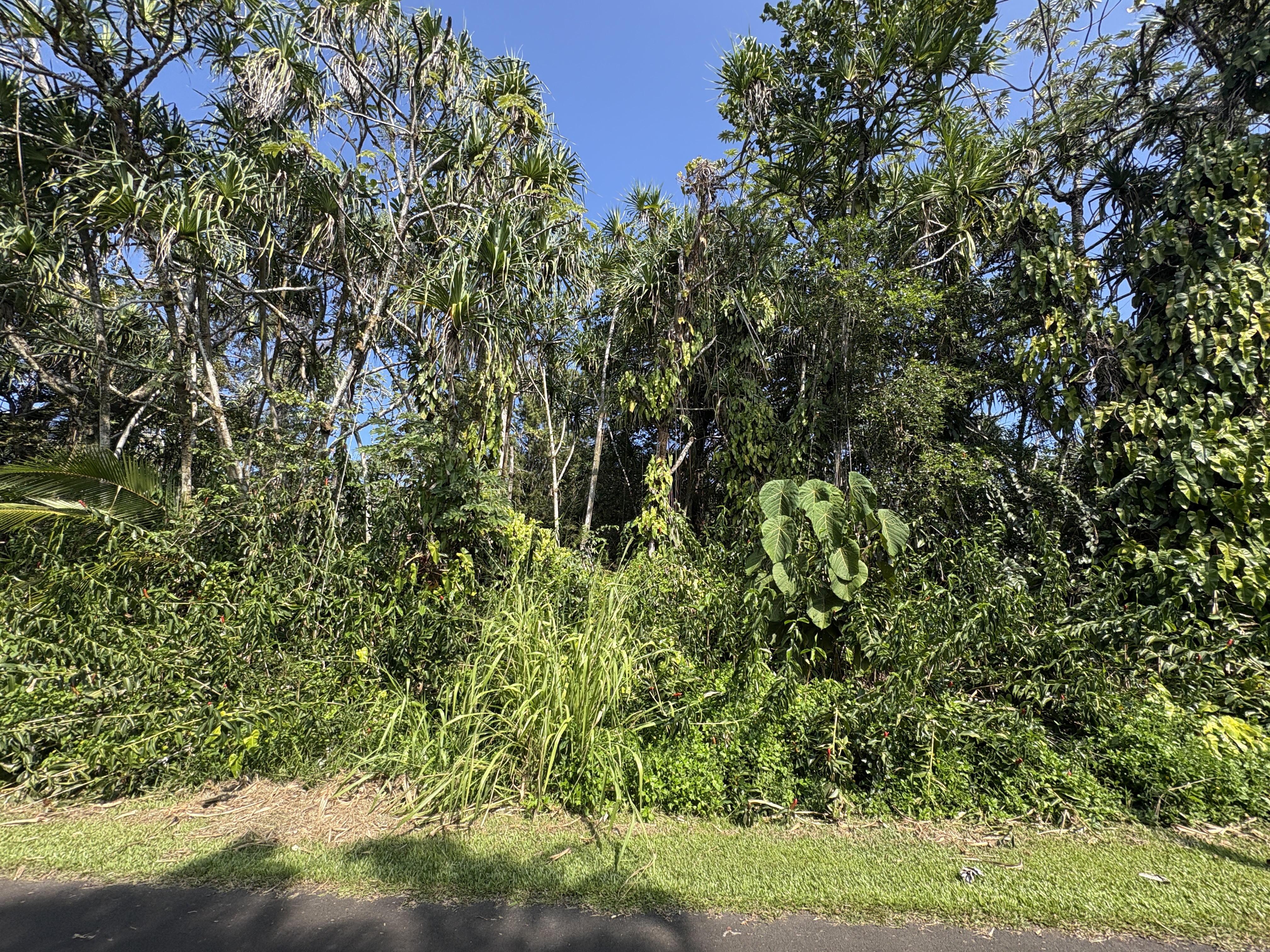 Oopu St Property Photo 10