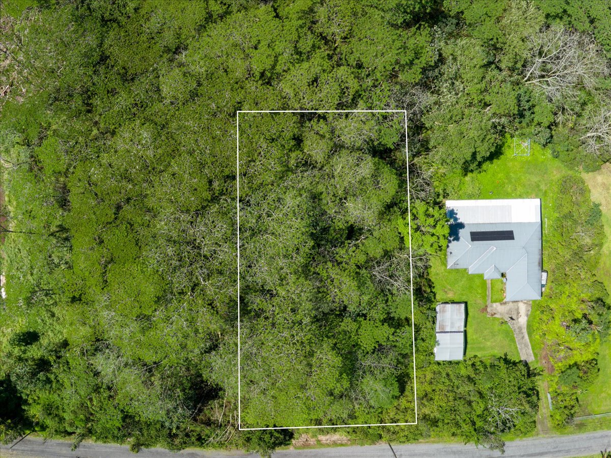 8th Ave Property Photo 4
