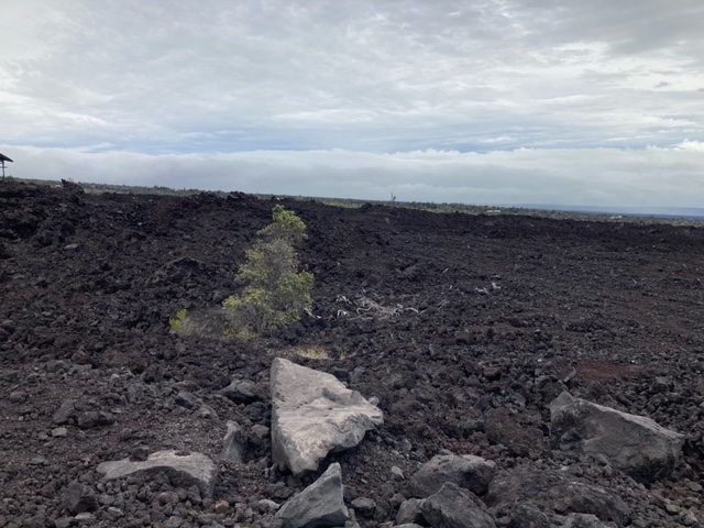 Kona Kai Blvd Property Photo 2