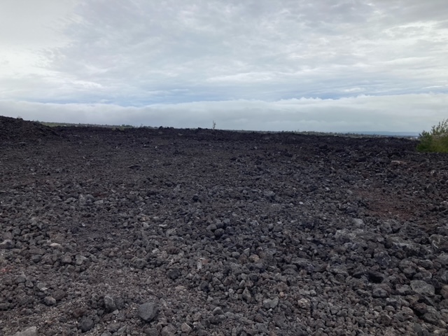 Kona Kai Blvd Property Photo 5