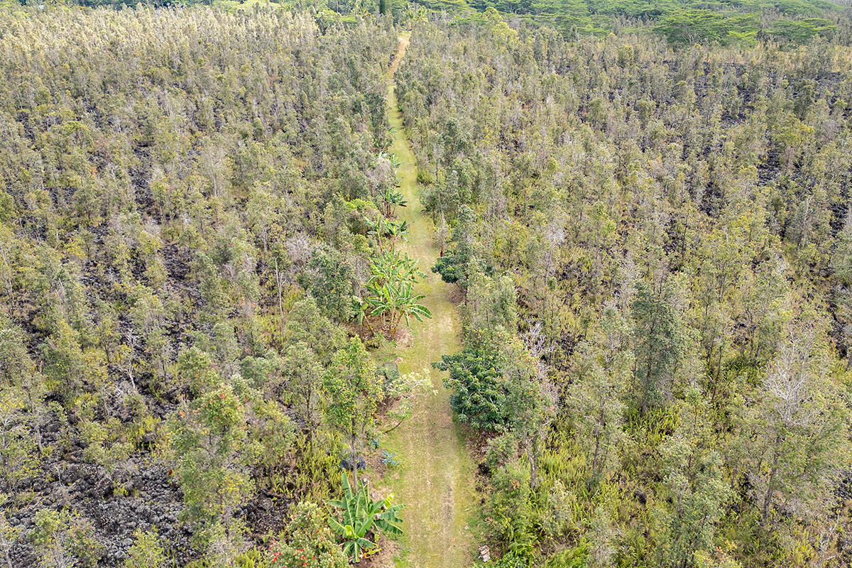 13-1037 Kamaili Rd Property Photo 16