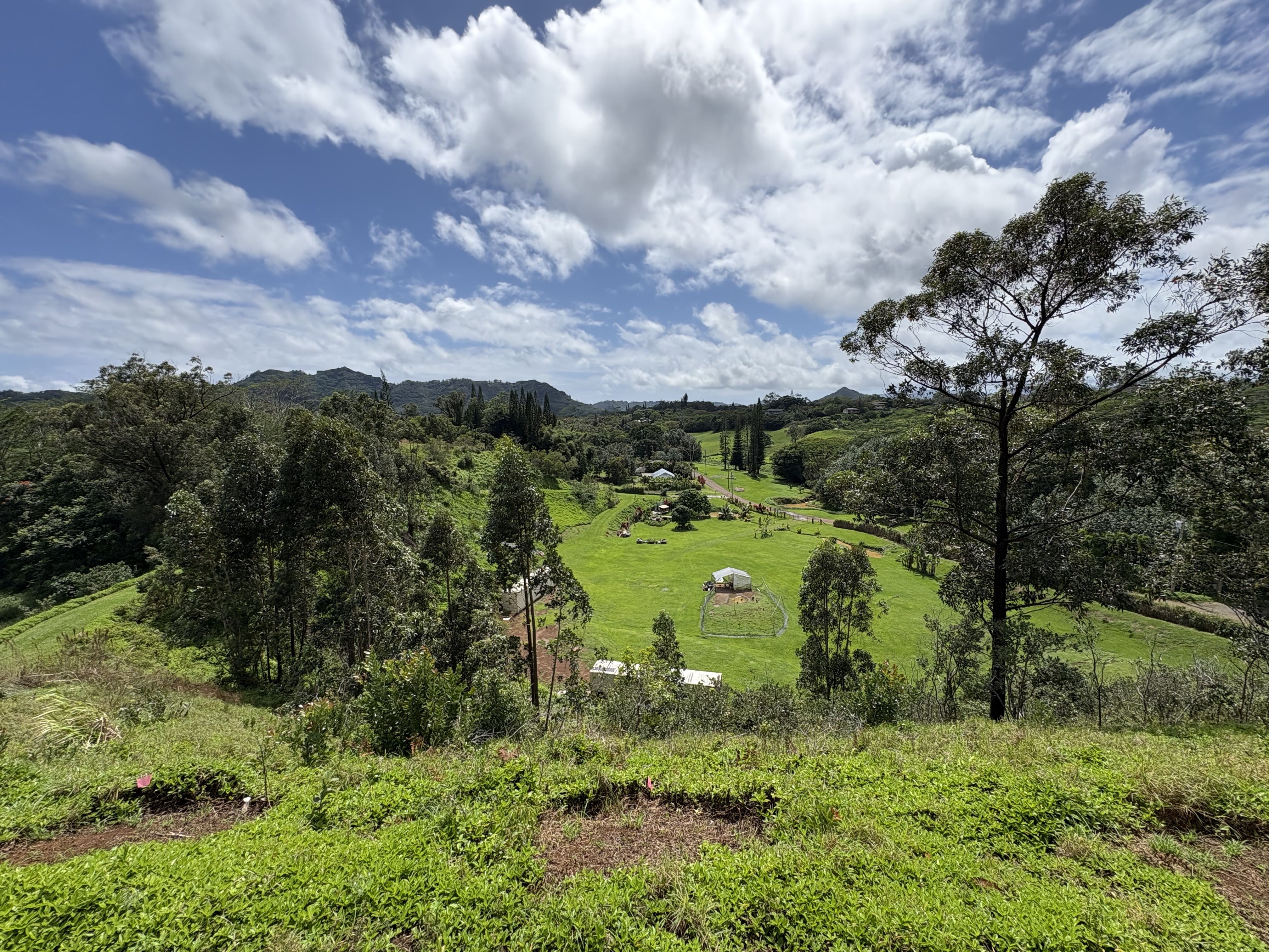 6630 Kipapa Rd Property Photo 5
