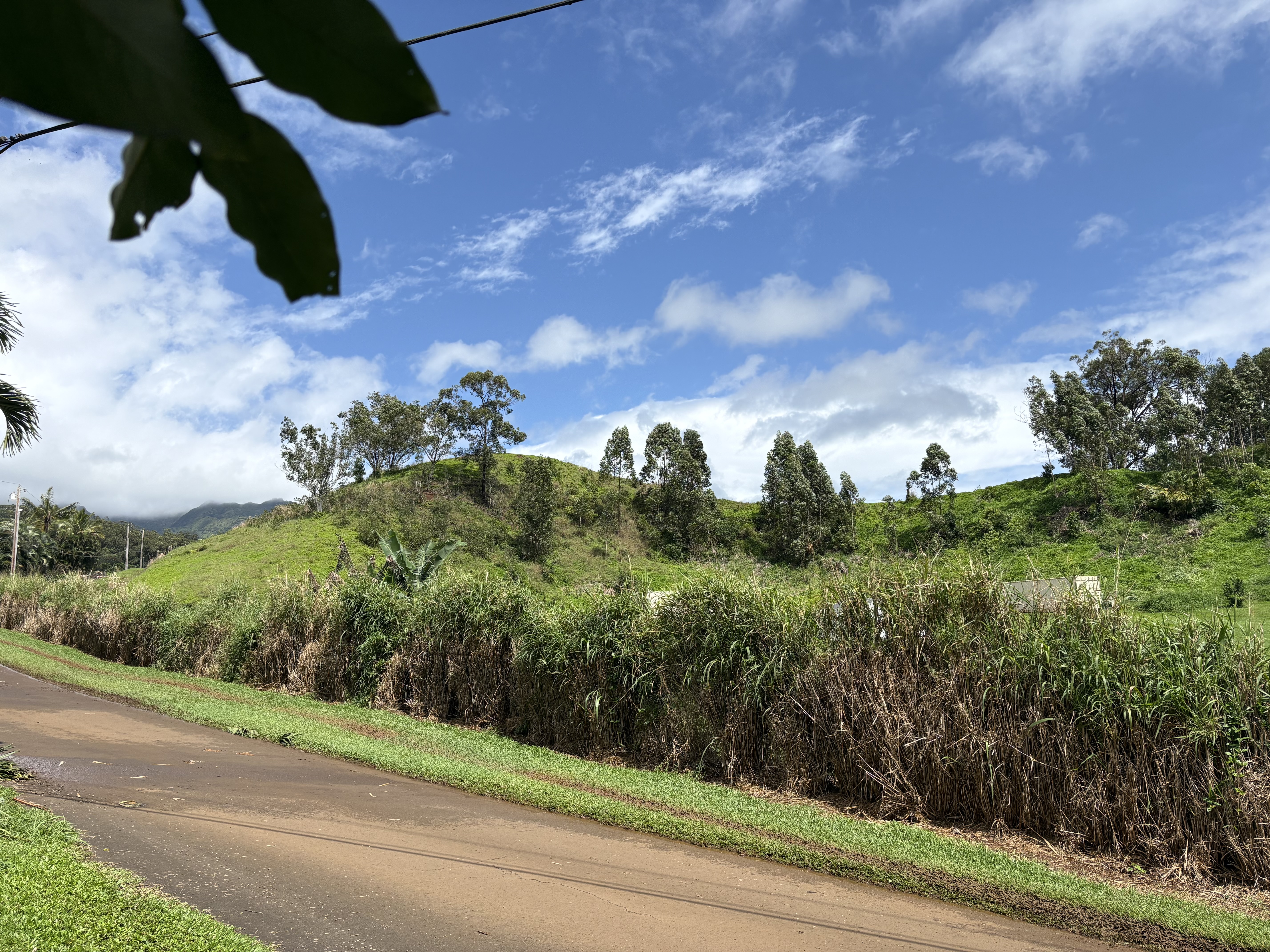 6630 Kipapa Rd Property Photo 6