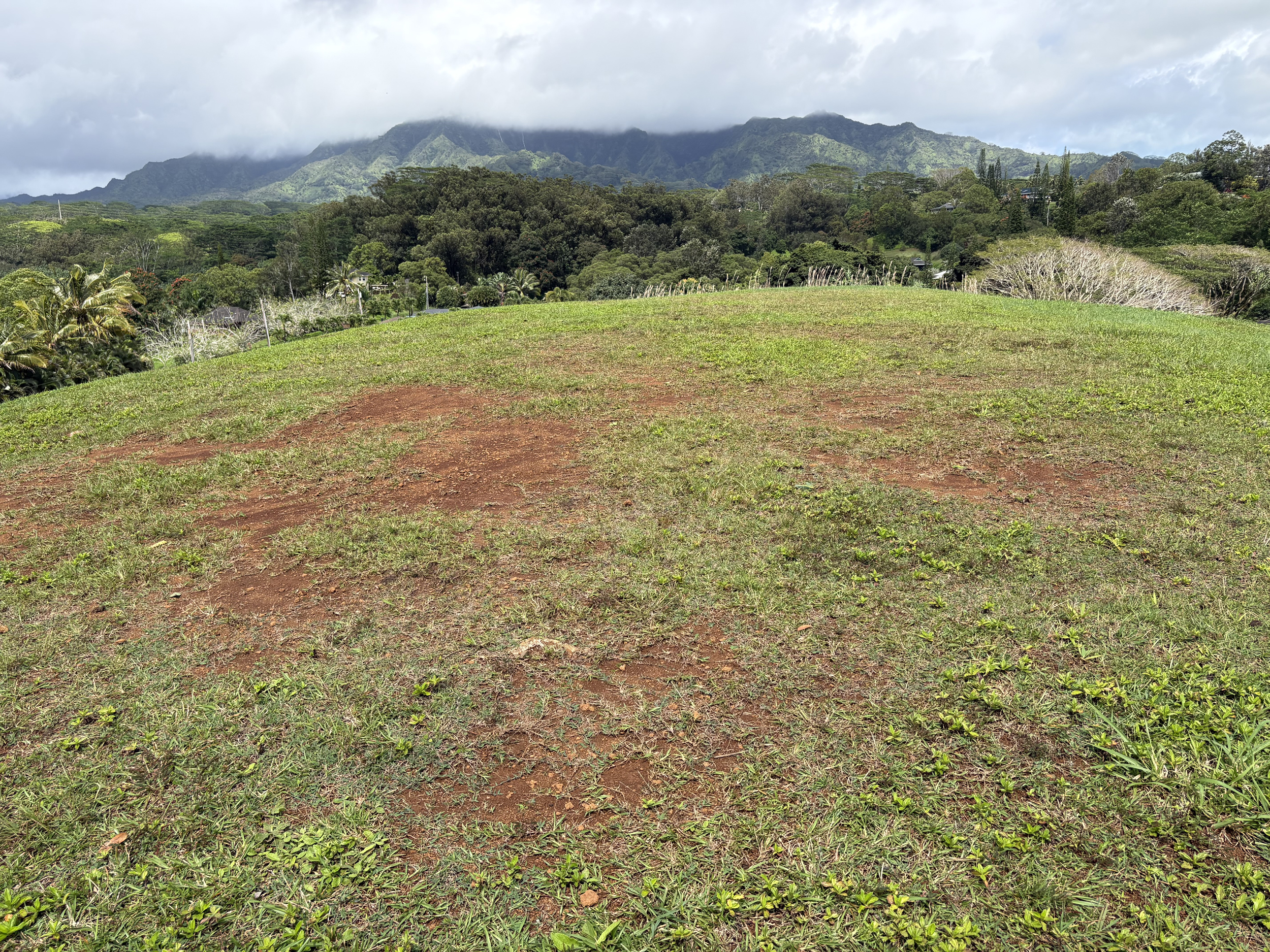 6630 Kipapa Rd Property Photo 11