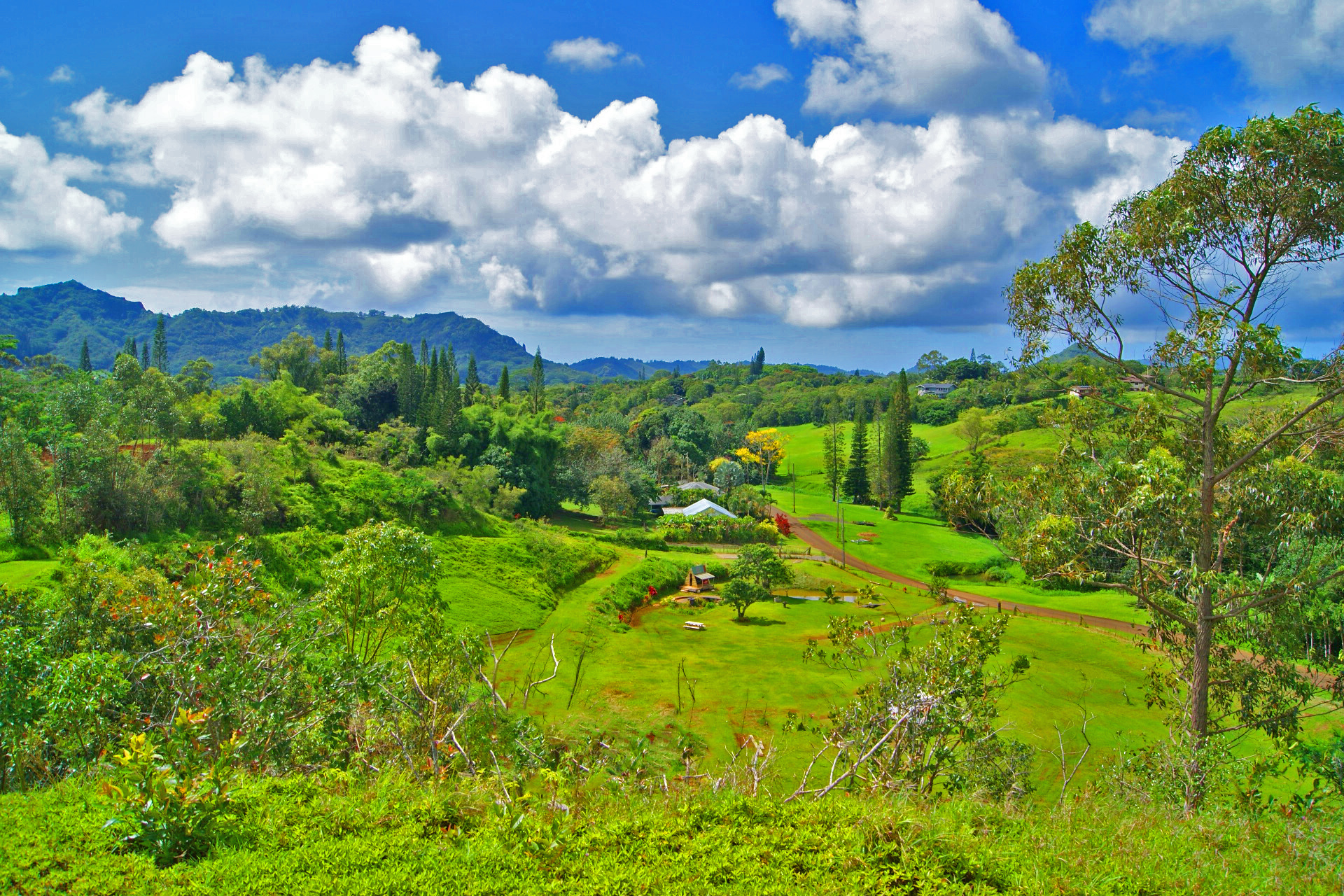 6630 Kipapa Rd Property Photo 15