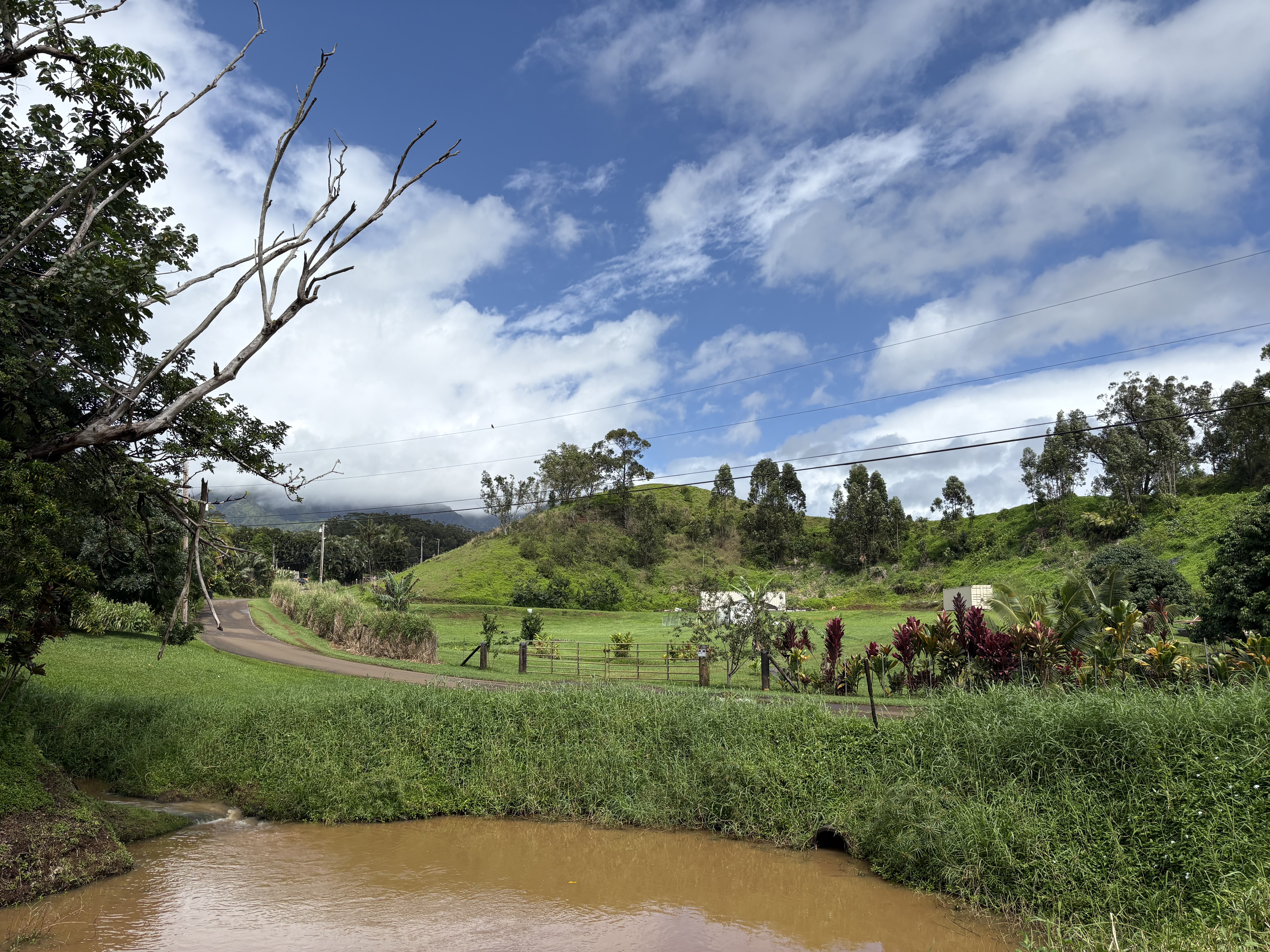 6630 Kipapa Rd Property Photo 16