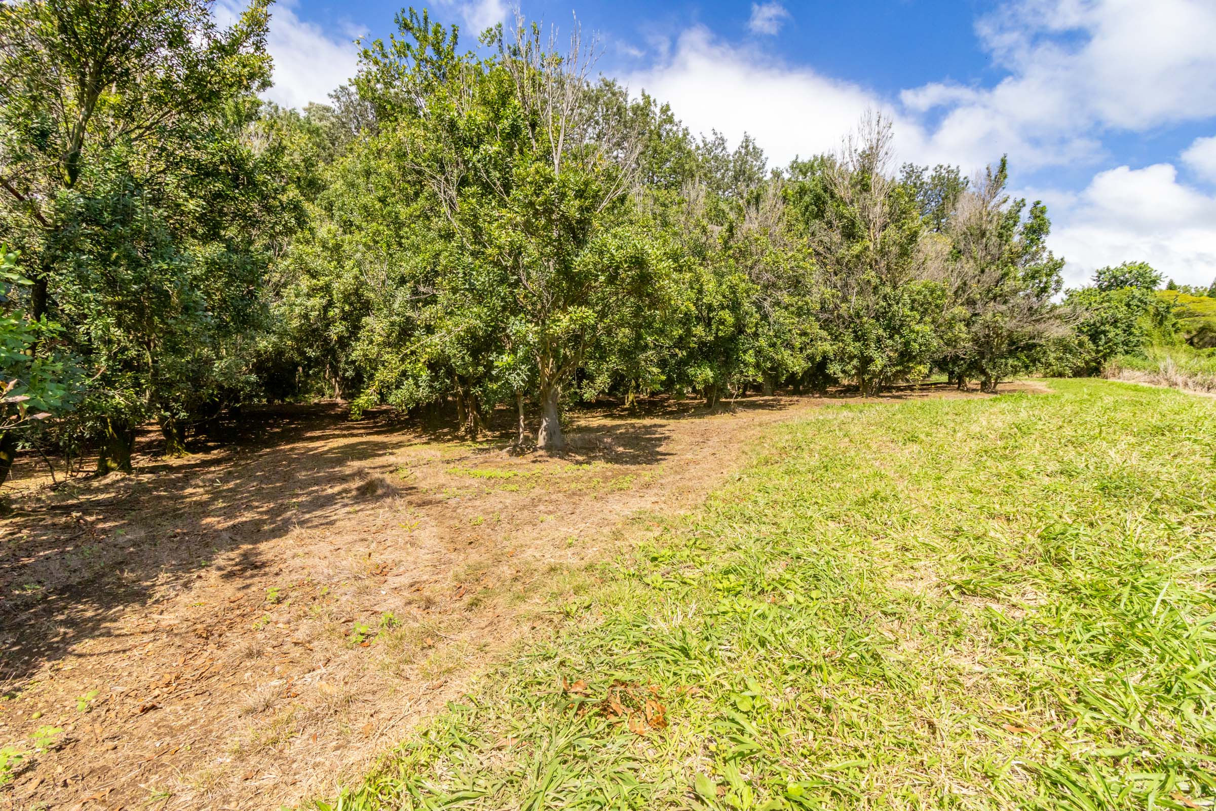 96-2865 Wood Valley Rd Property Photo 11