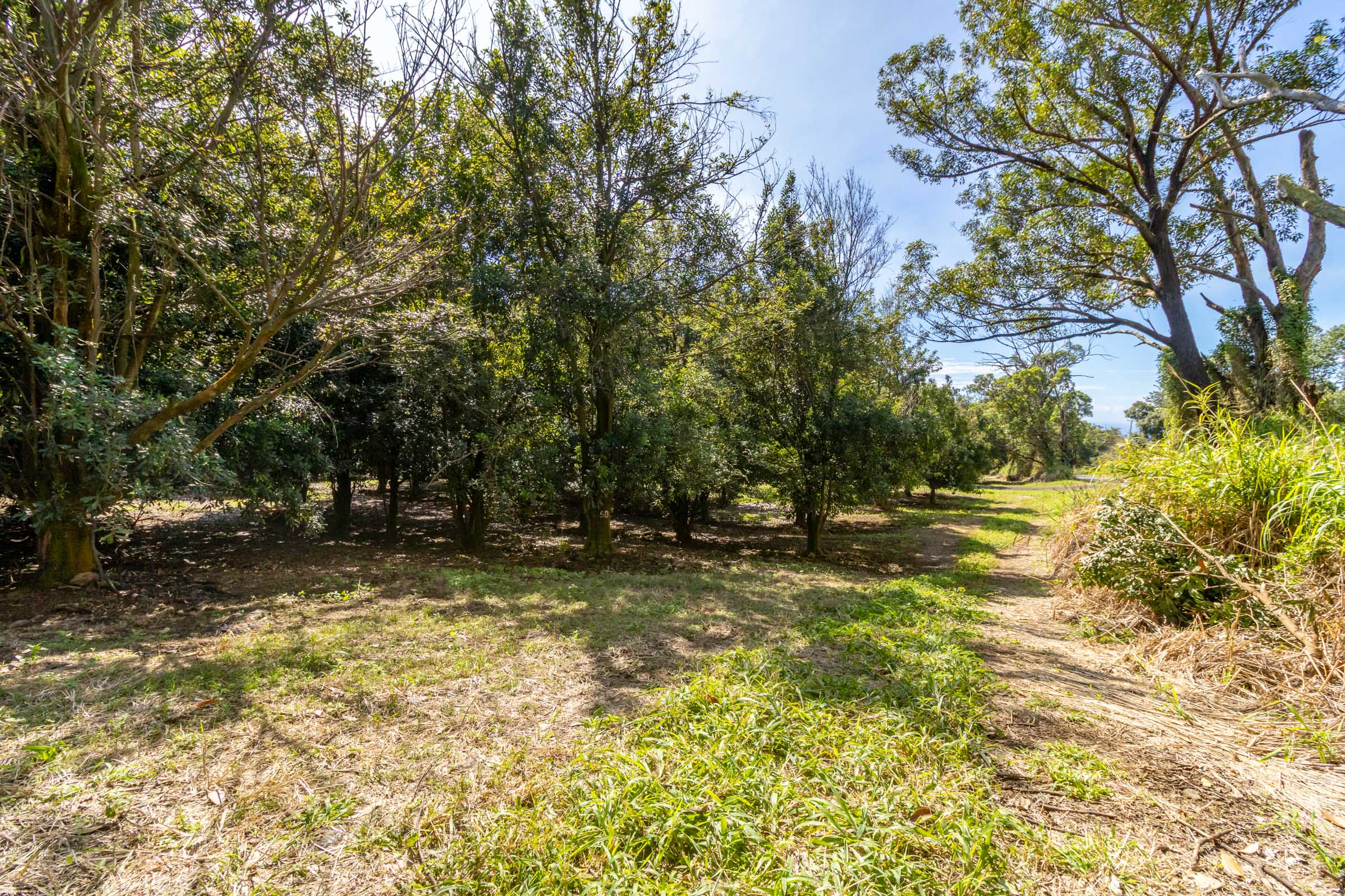 96-2865 Wood Valley Rd Property Photo 13