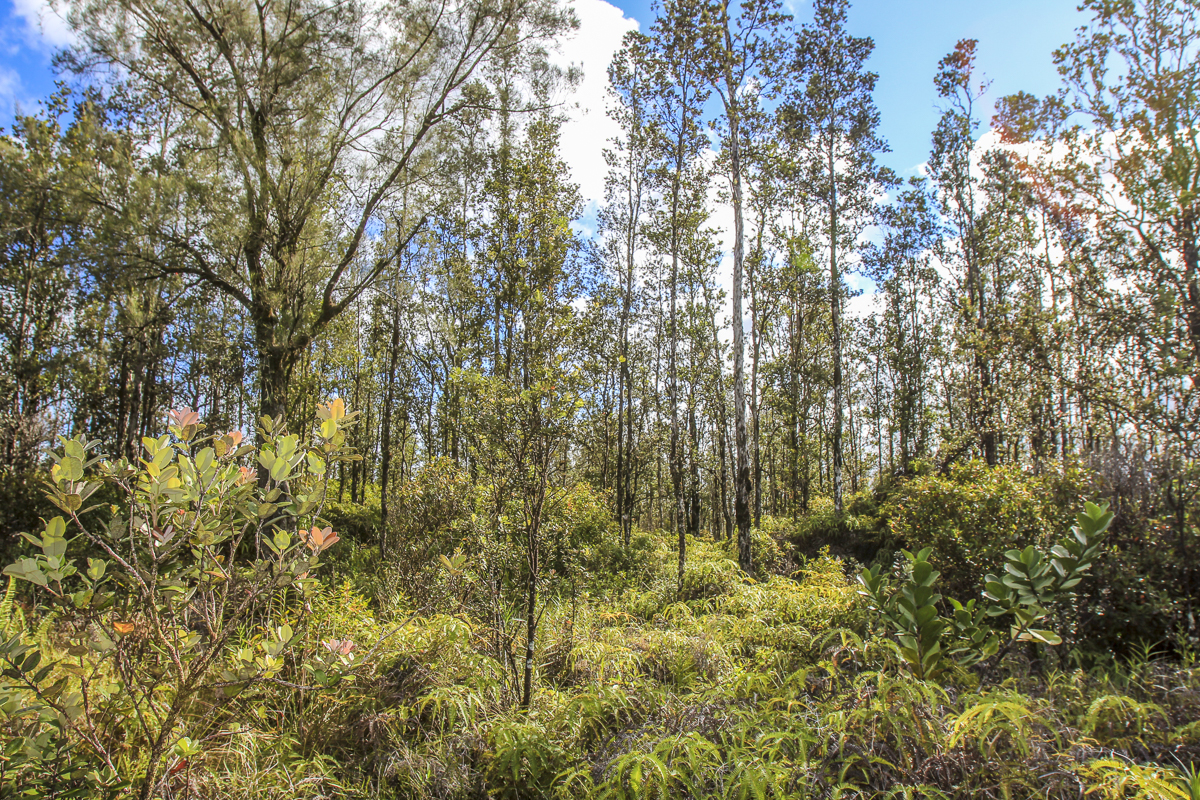 16-2192 Road 5 (uau) Property Photo 9