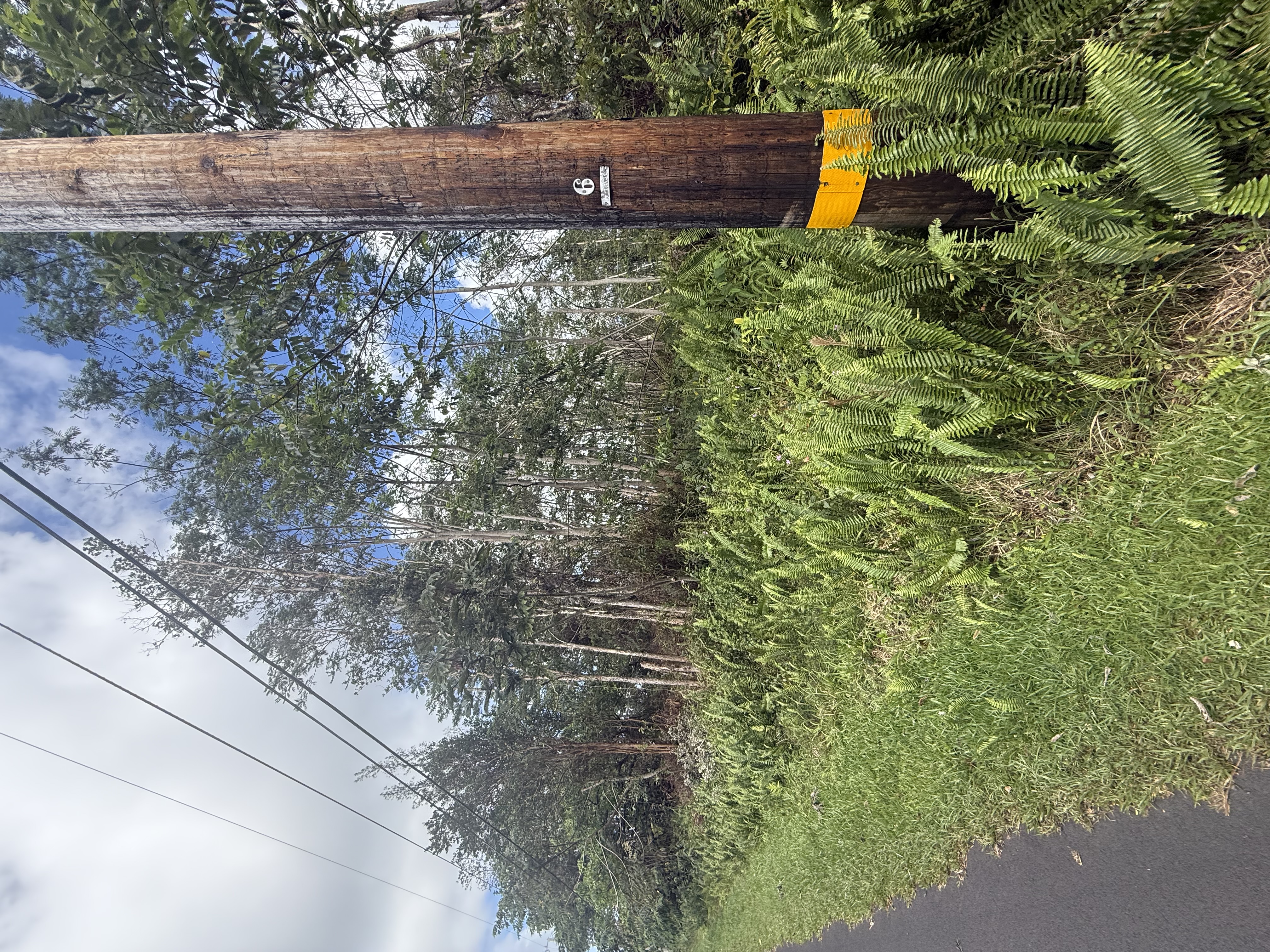 13-3557 Moku St Property Photo 1