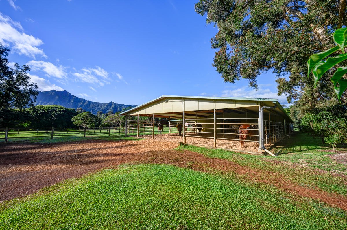 2818 Kamookoa Rd 1 Property Photo 23
