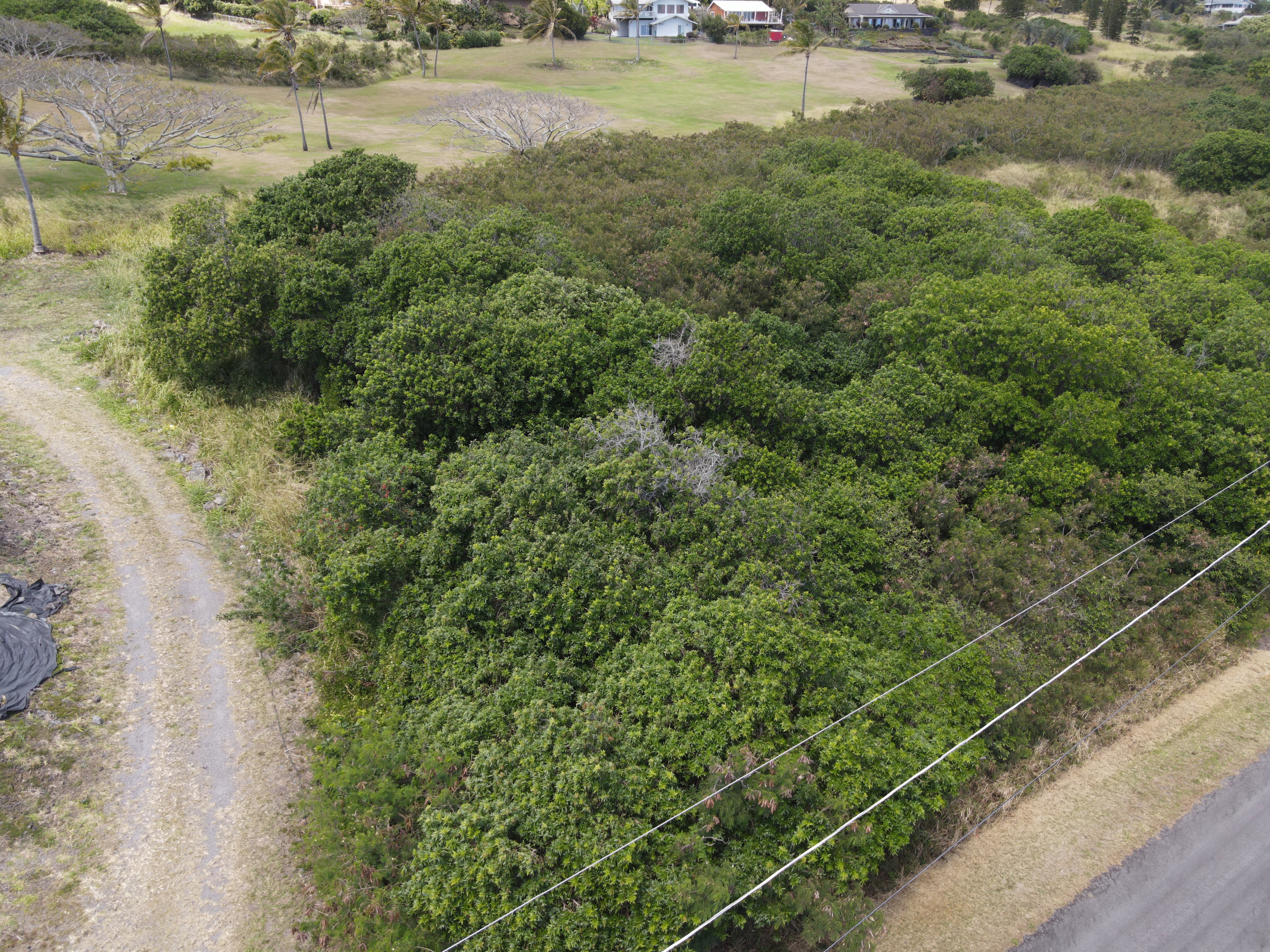 Kilo Moana Pl Property Photo 1