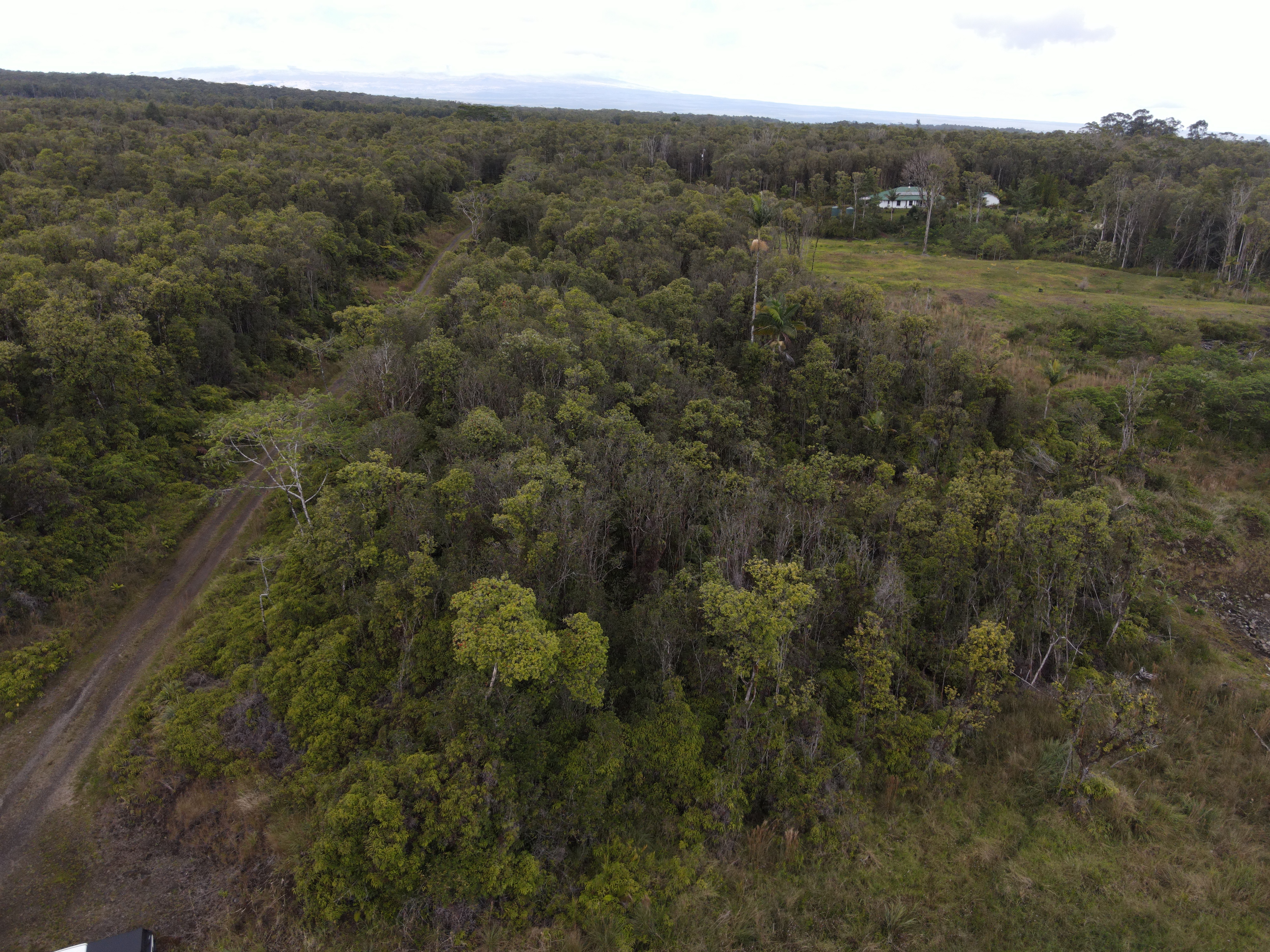 Ihope Rd Property Photo 3