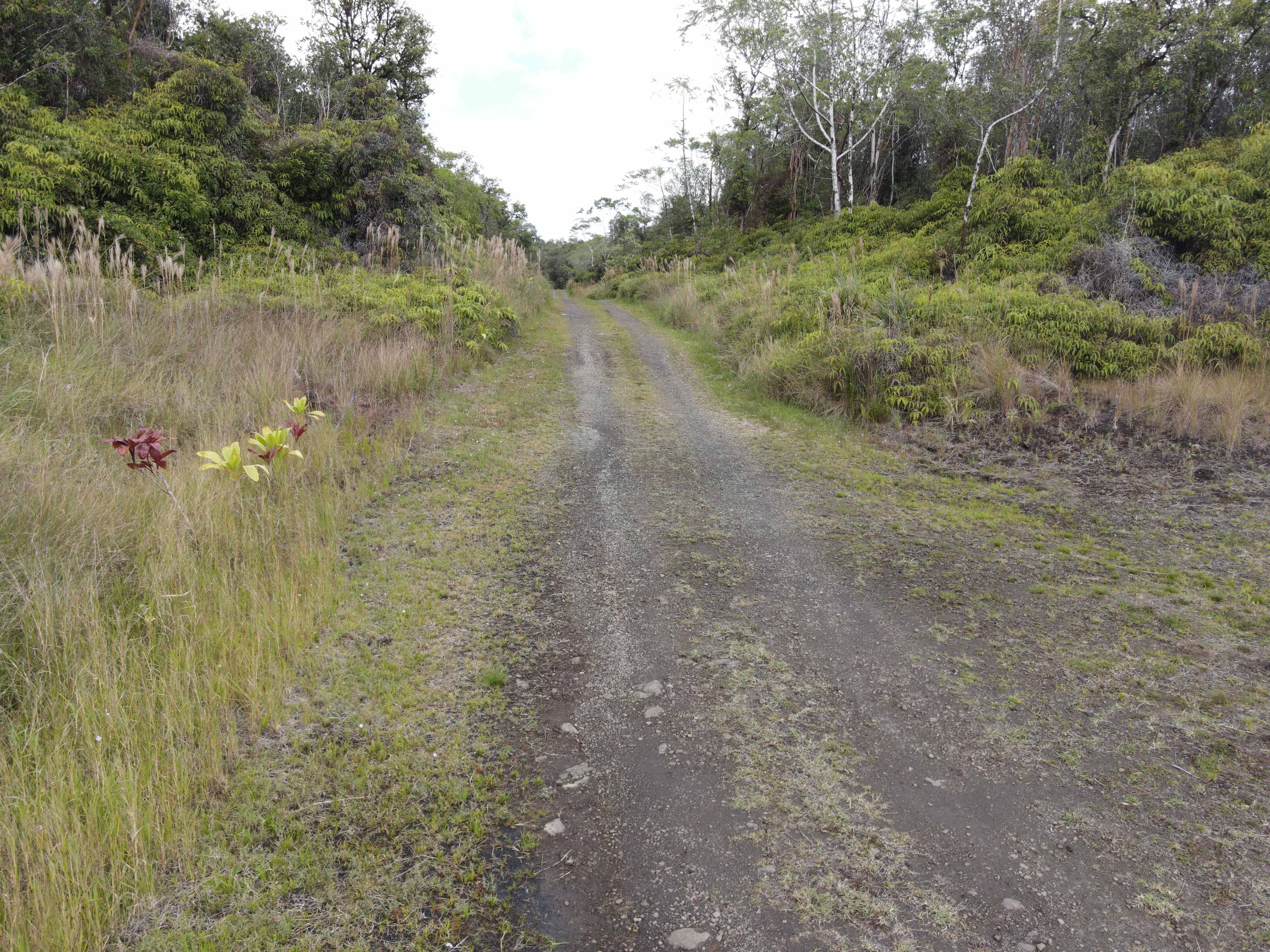 Ihope Rd Property Photo 4