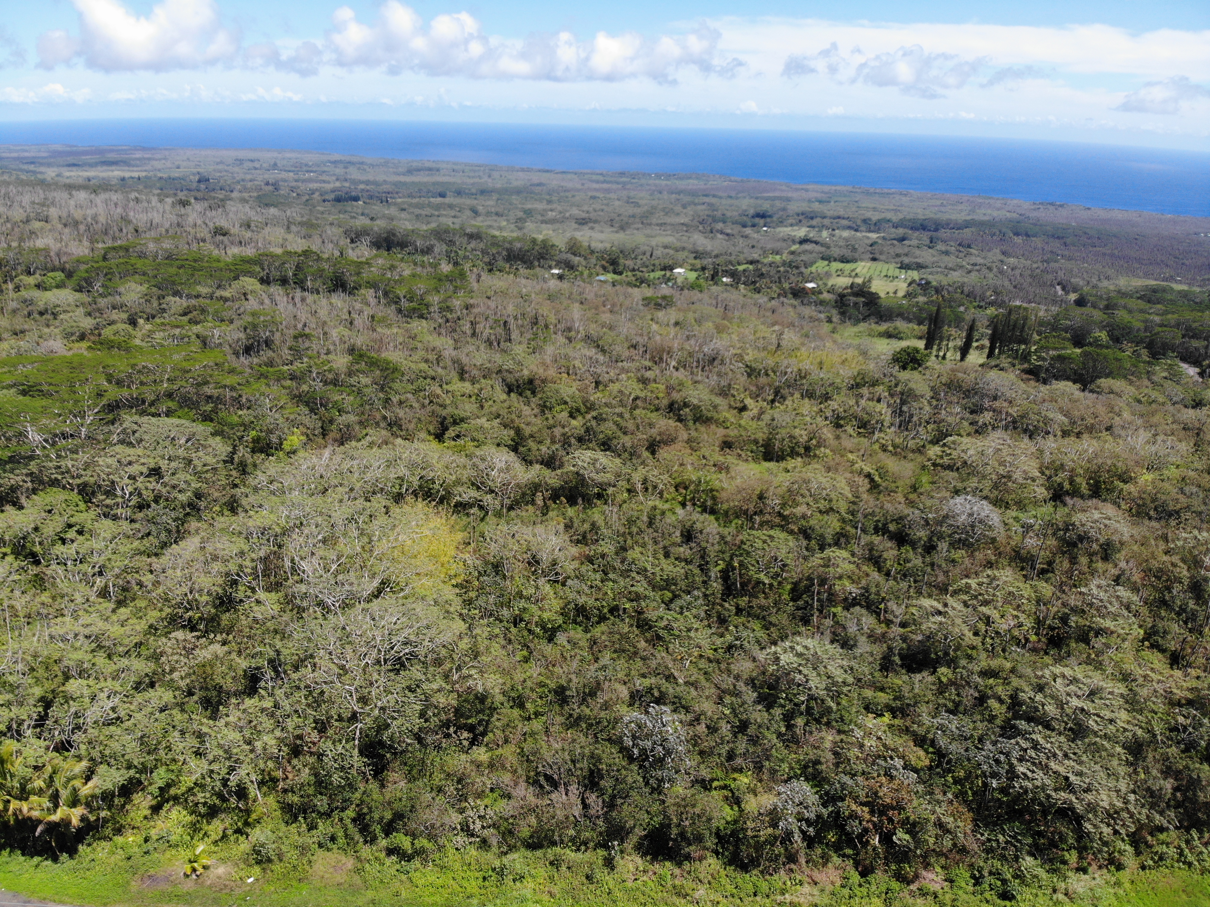 13-3827 Pahoa Kalapana Rd Property Photo 19