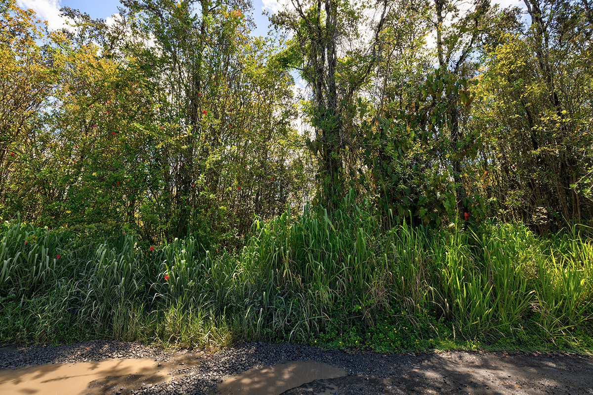 Road 1 (uhini Ana) Property Photo 5