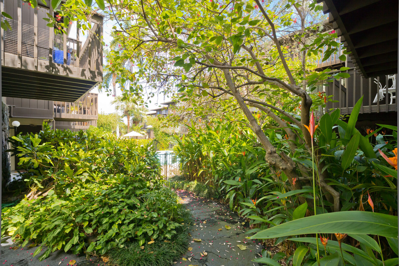75-5855 Walua Rd 12 Property Photo 29