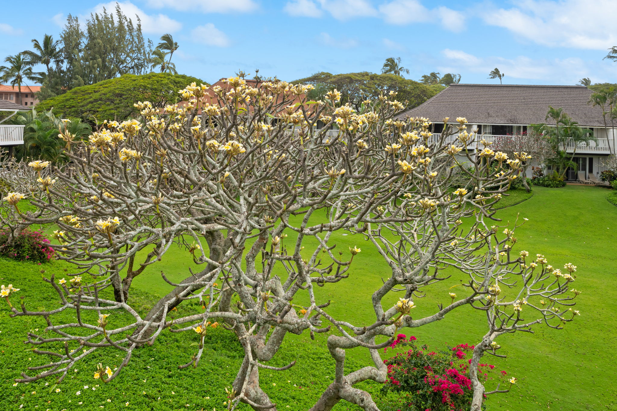 2253 Poipu Rd 63 Property Photo 22