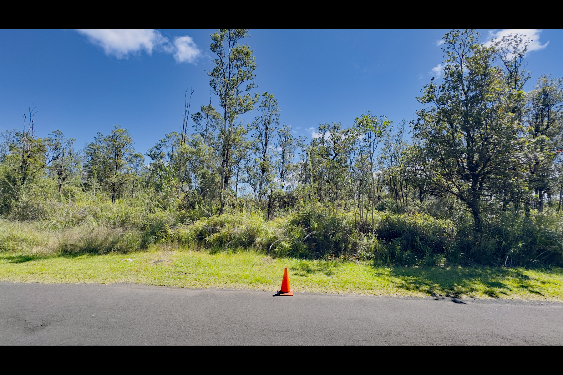 Pikake St Property Photo 4
