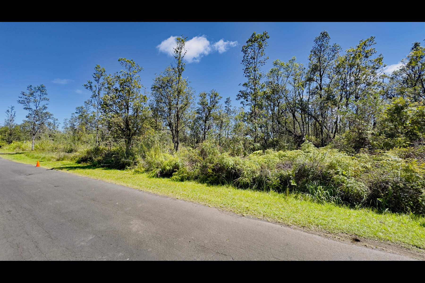 Pikake St Property Photo 7