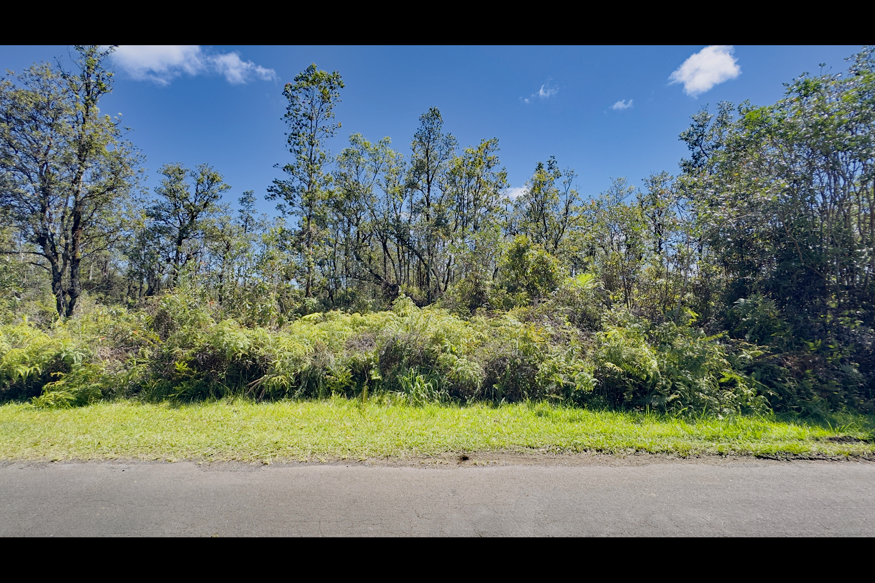 Pikake St Property Photo 8