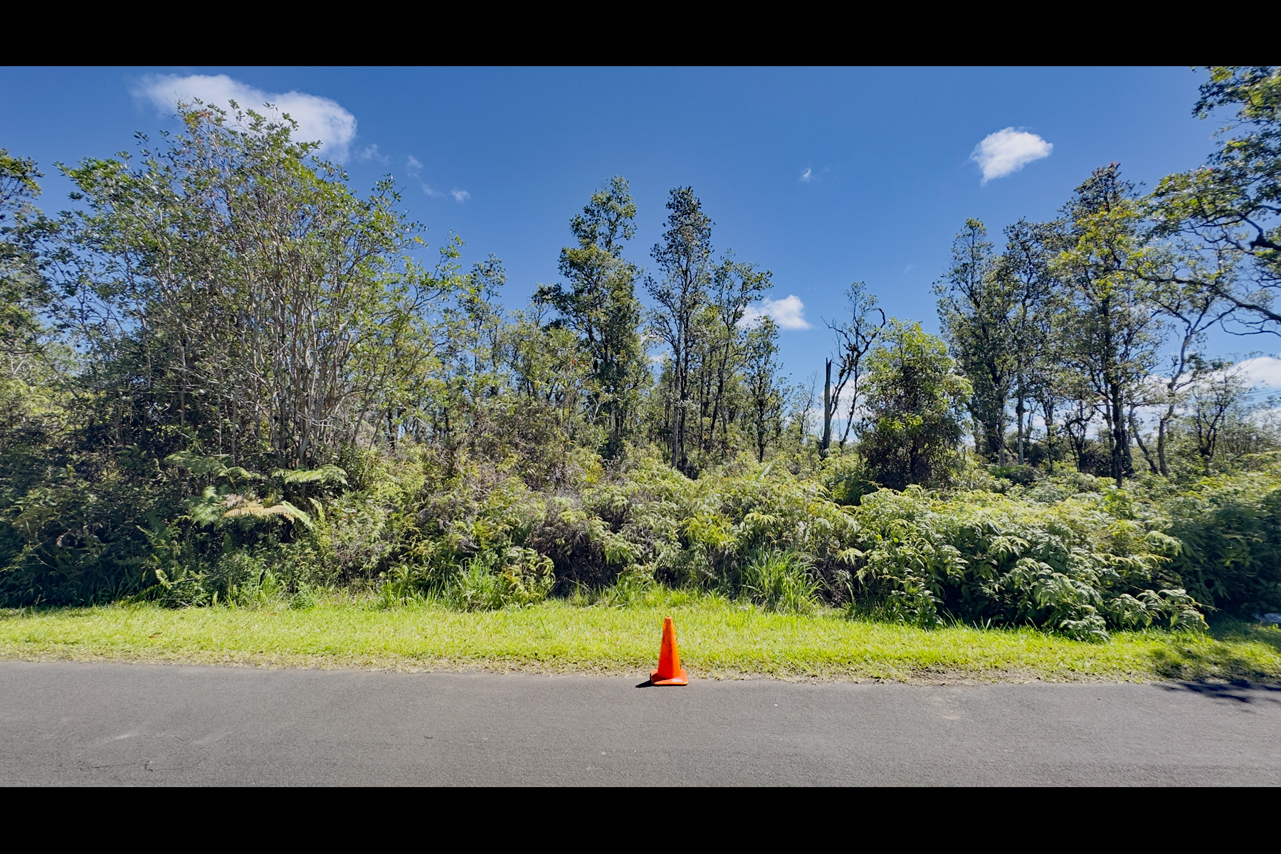 Pikake St Property Photo 12