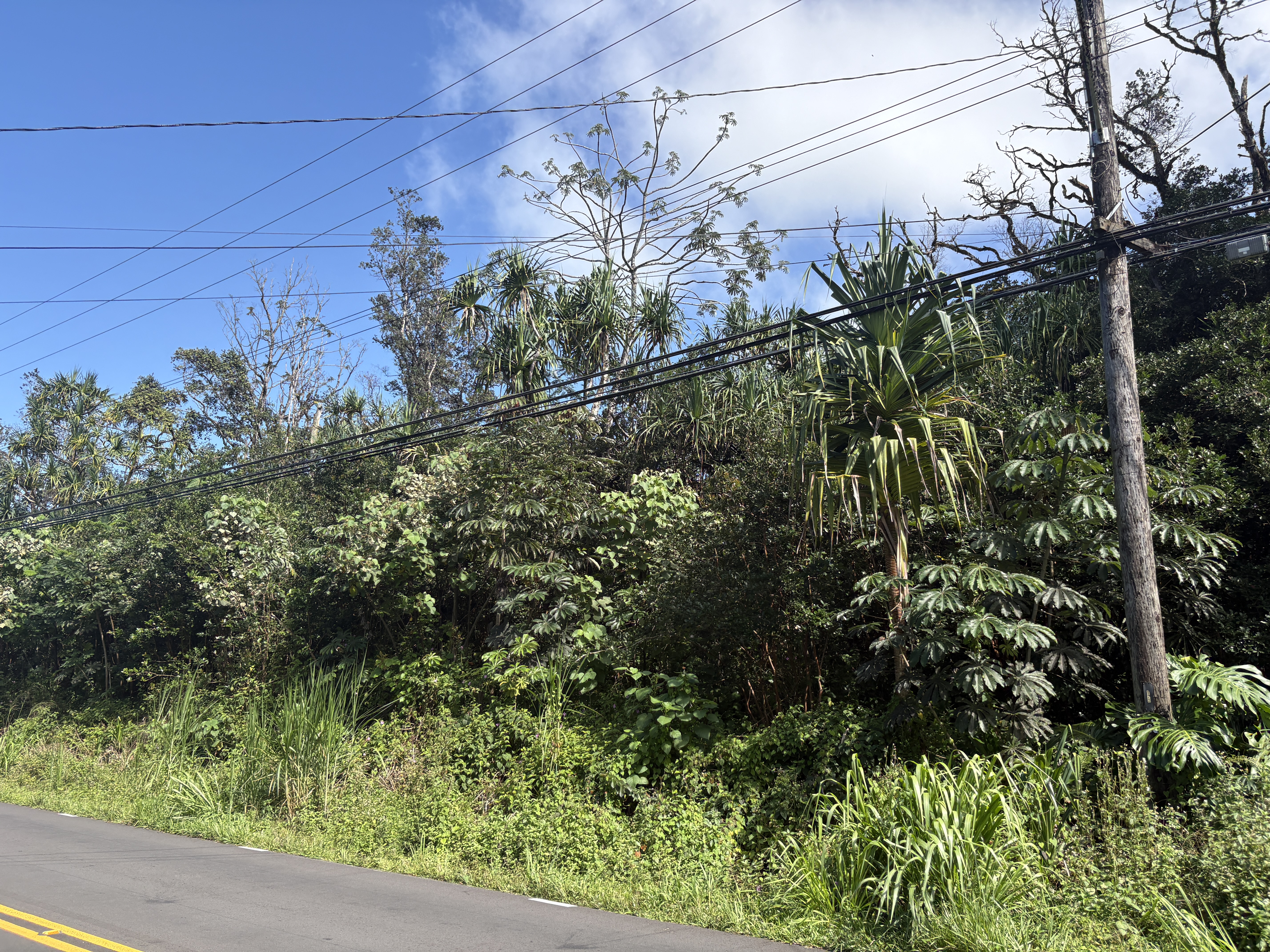 Kahakai Blvd Property Photo 2