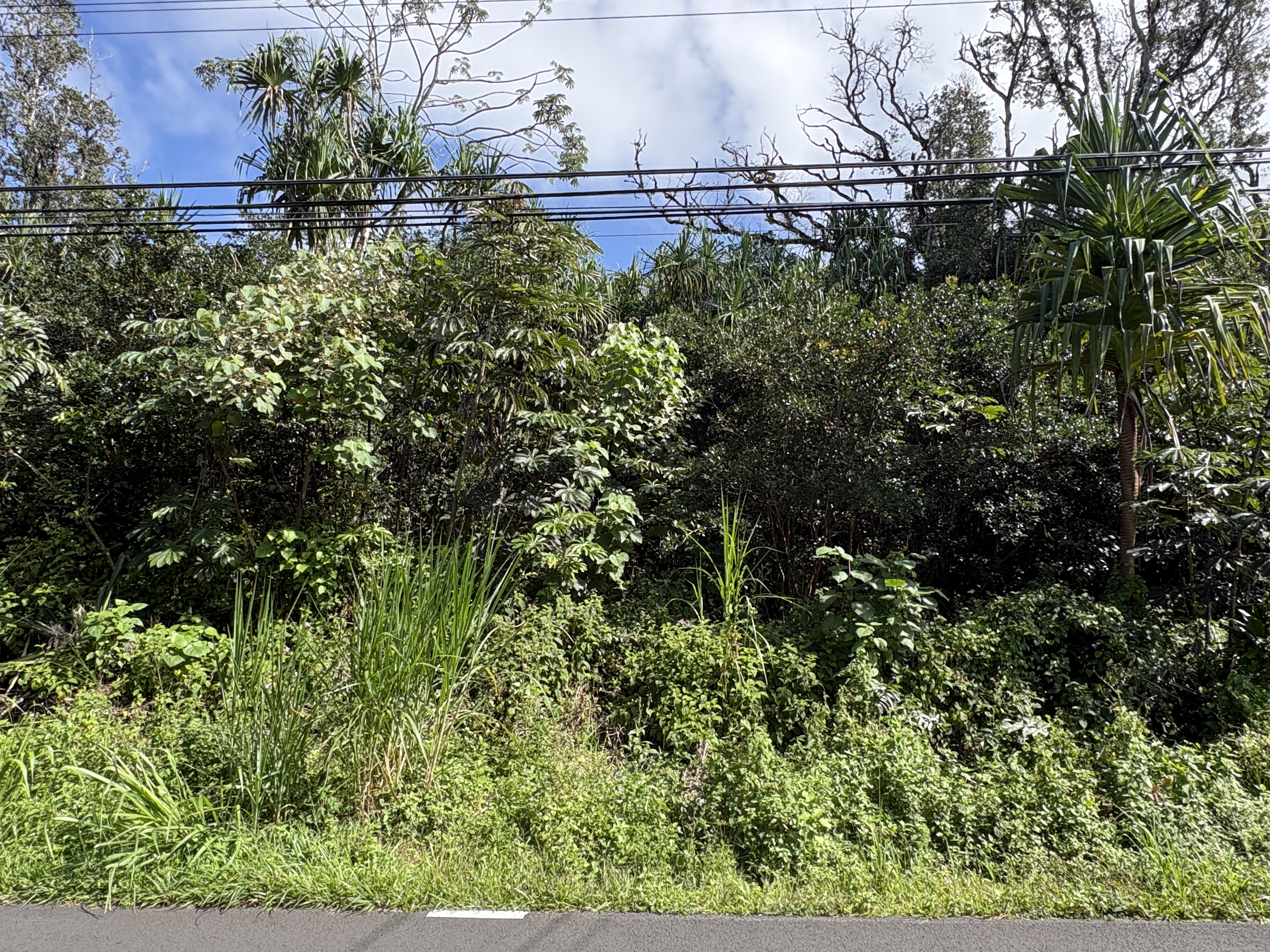 Kahakai Blvd Property Photo 3