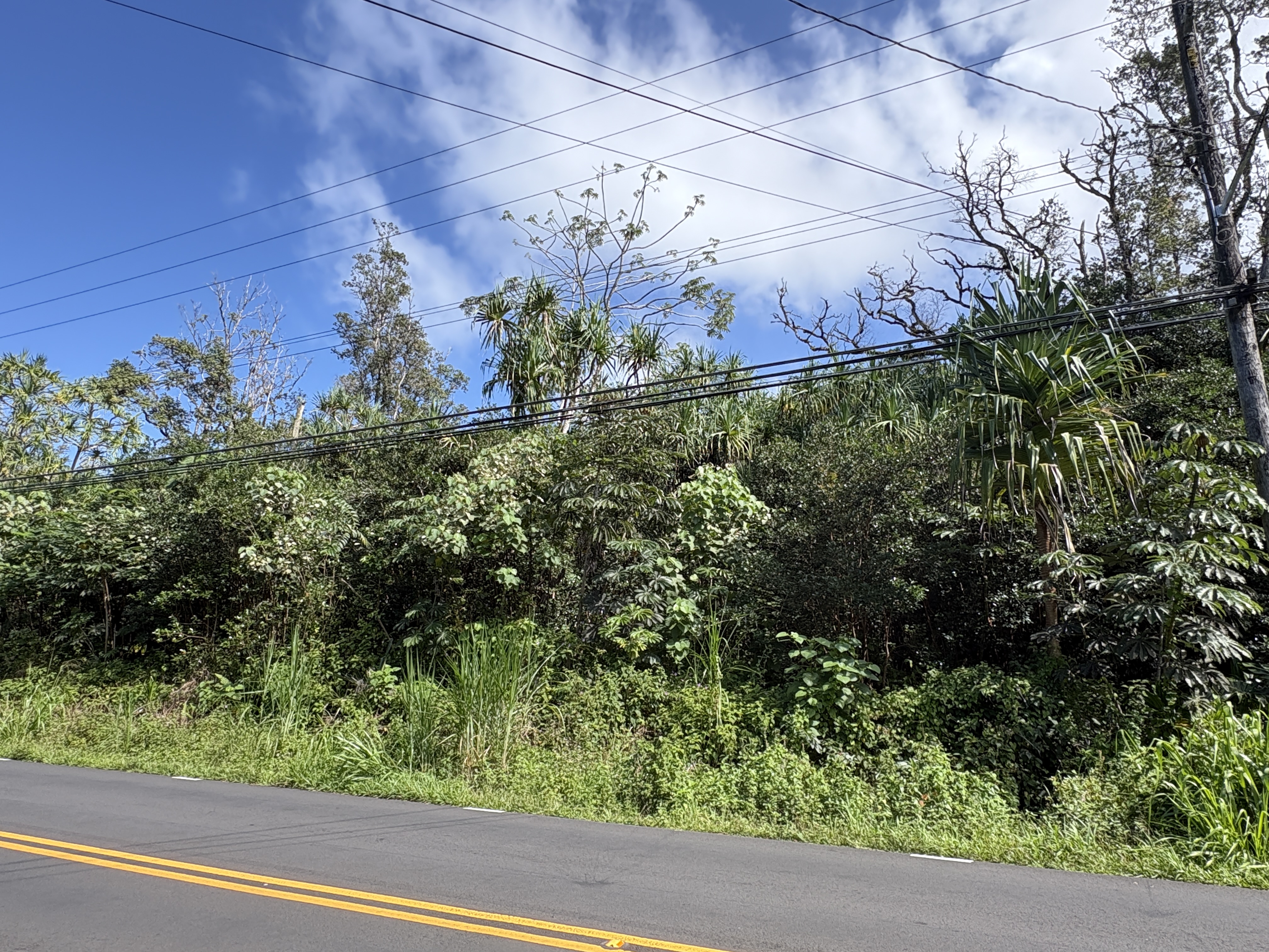 Kahakai Blvd Property Photo 4