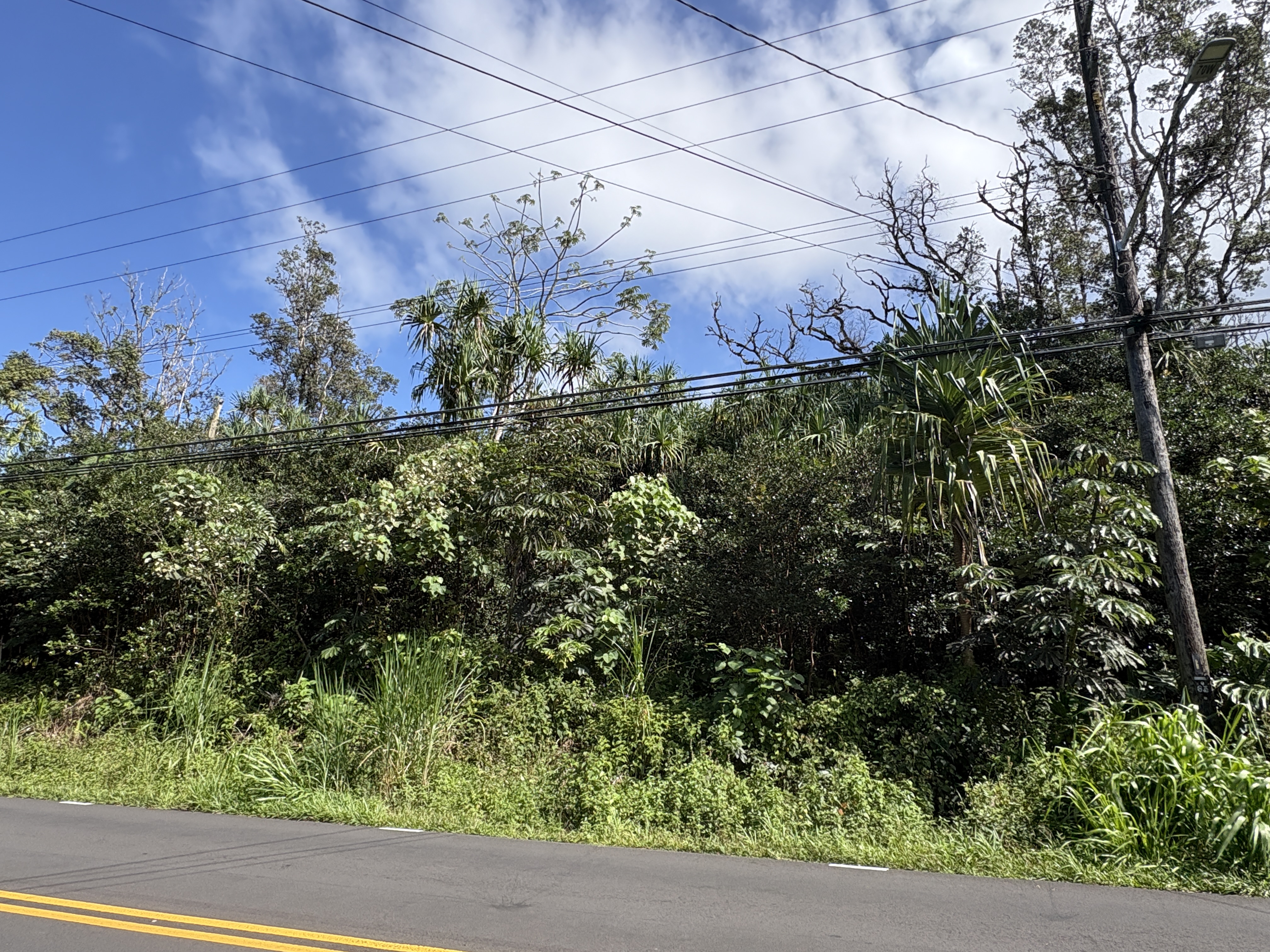 Kahakai Blvd Property Photo 5