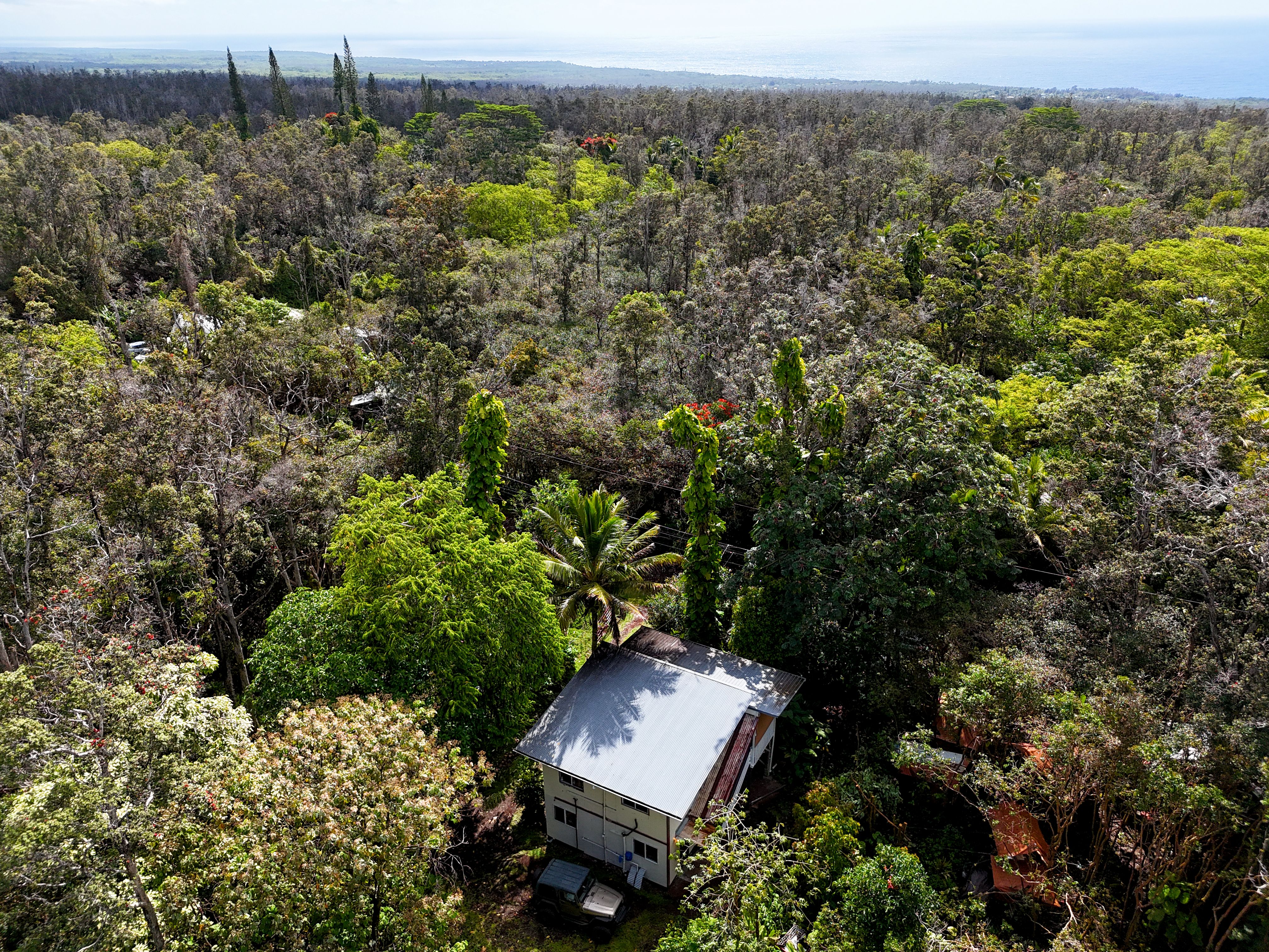 12-4298 Lanai St Property Photo 18