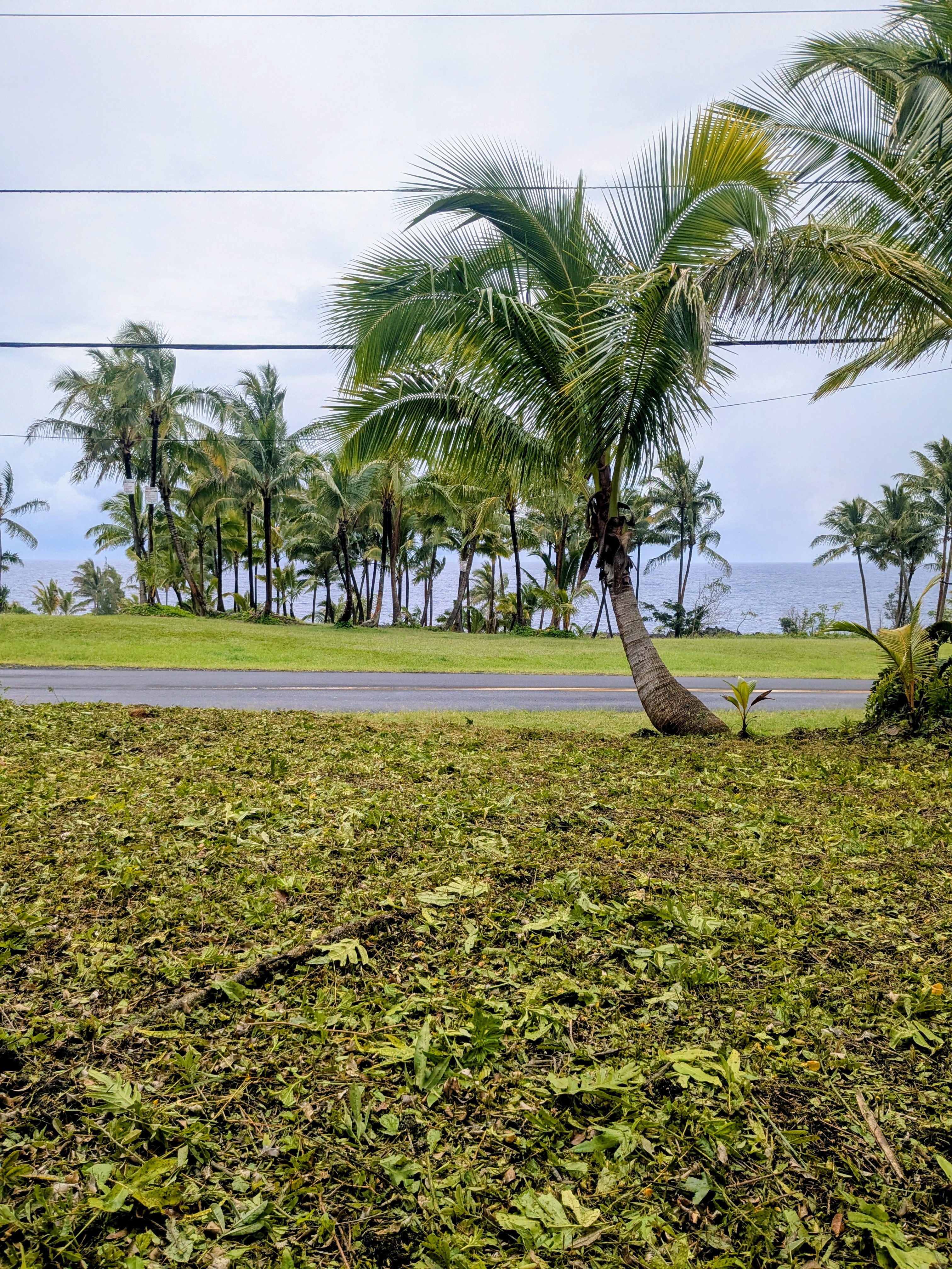 Kalihi Kai St Property Photo 1