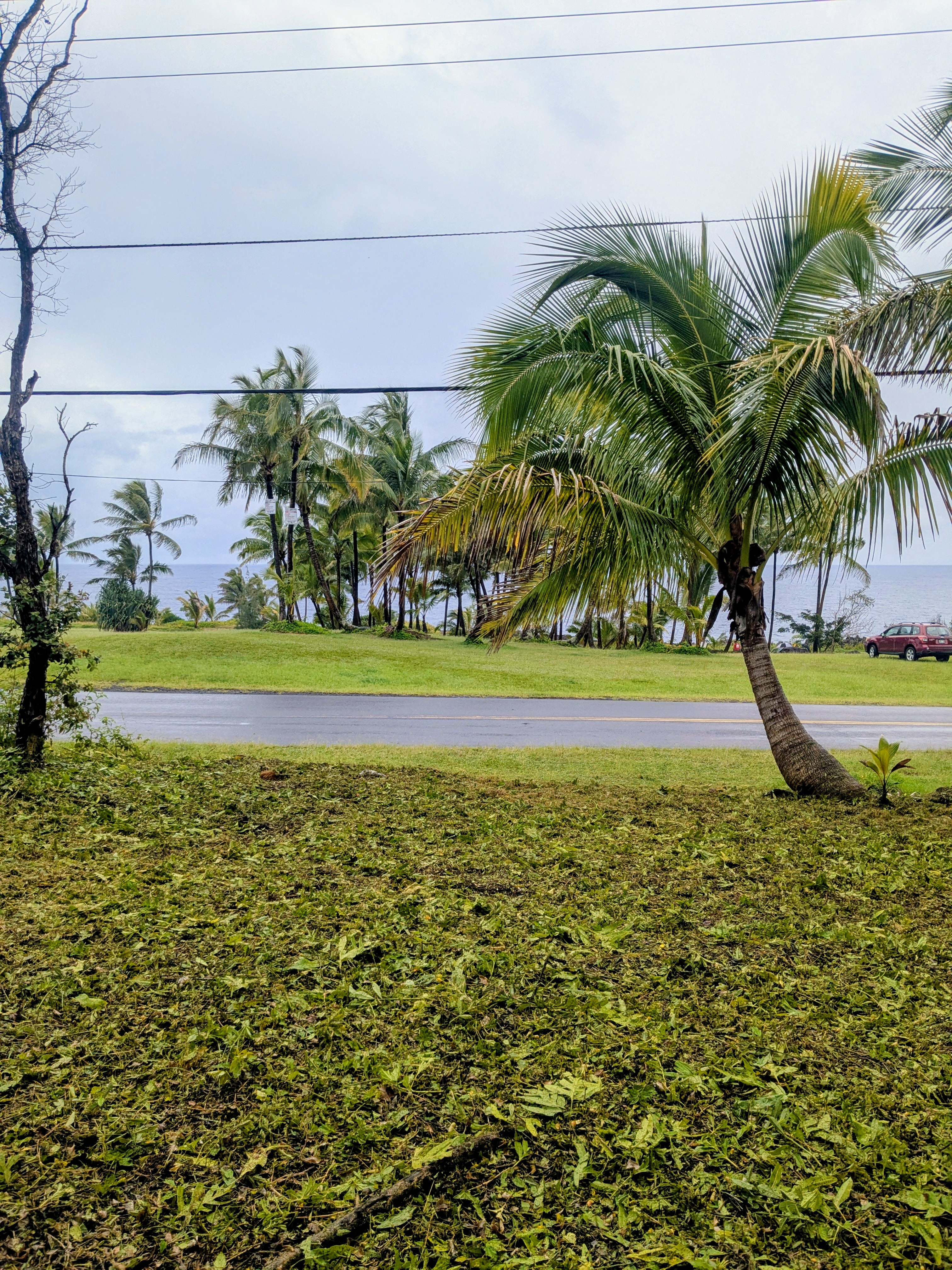 Kalihi Kai St Property Photo 2