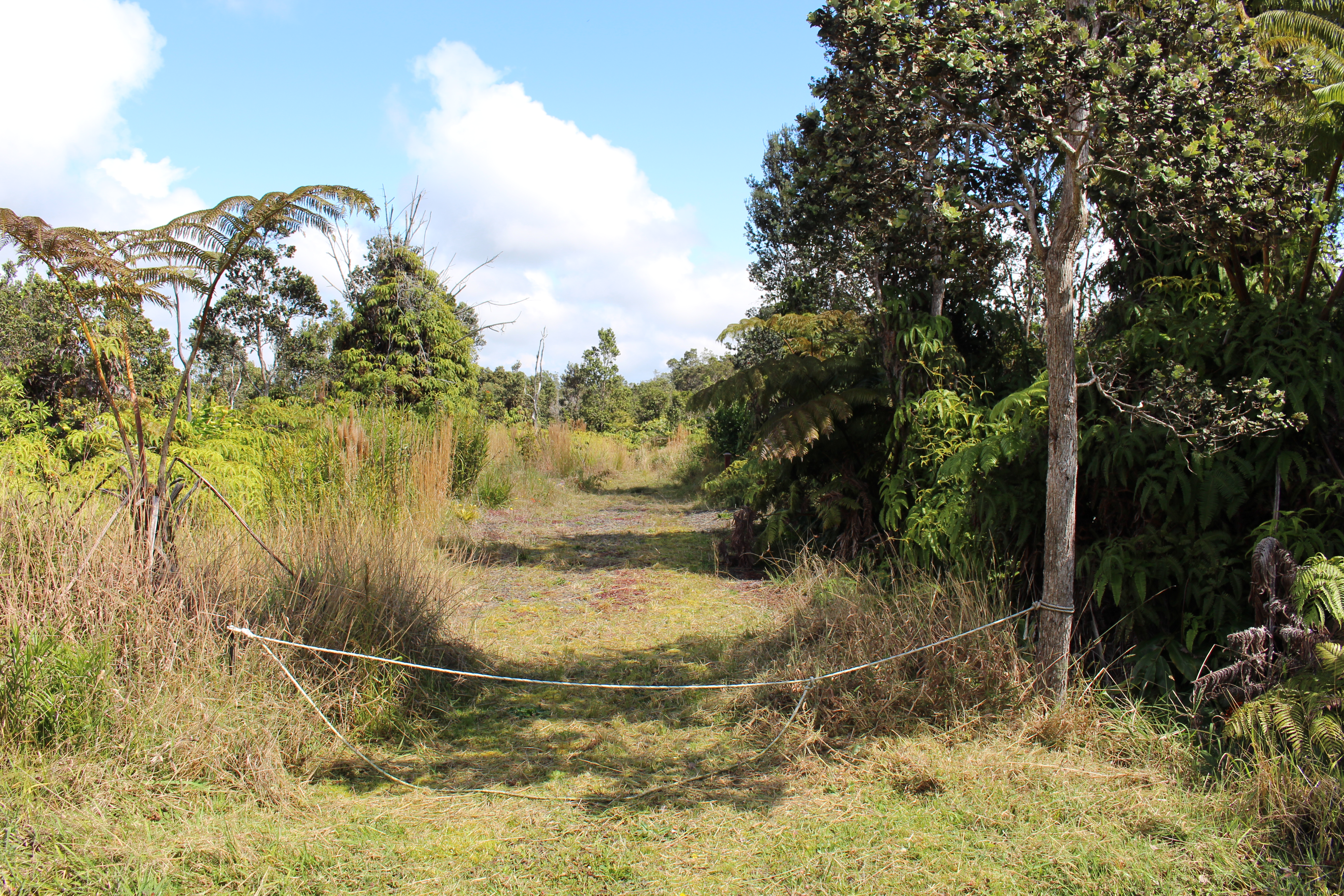 Nahelenani St Property Photo 1