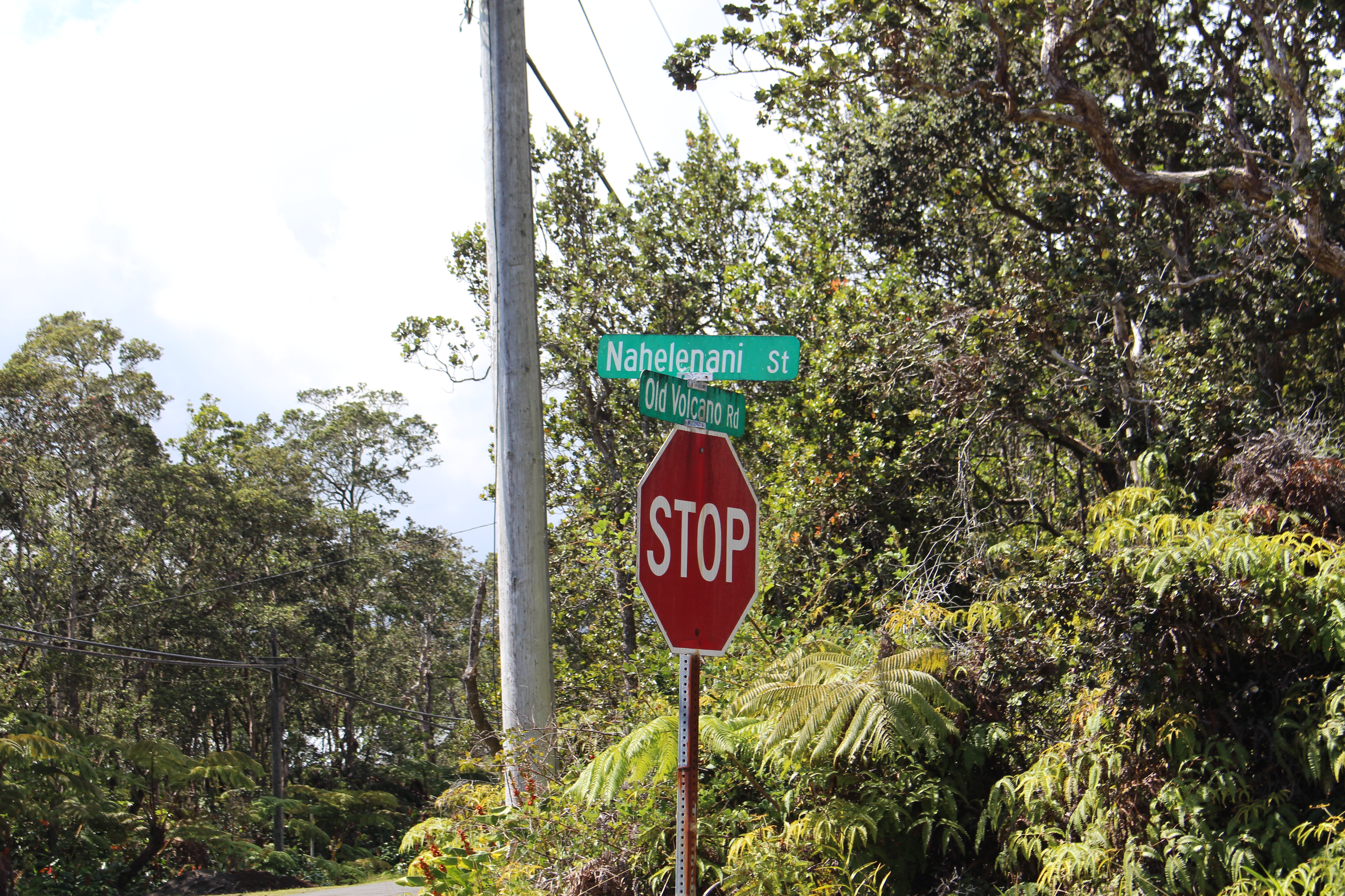 Nahelenani St Property Photo 3