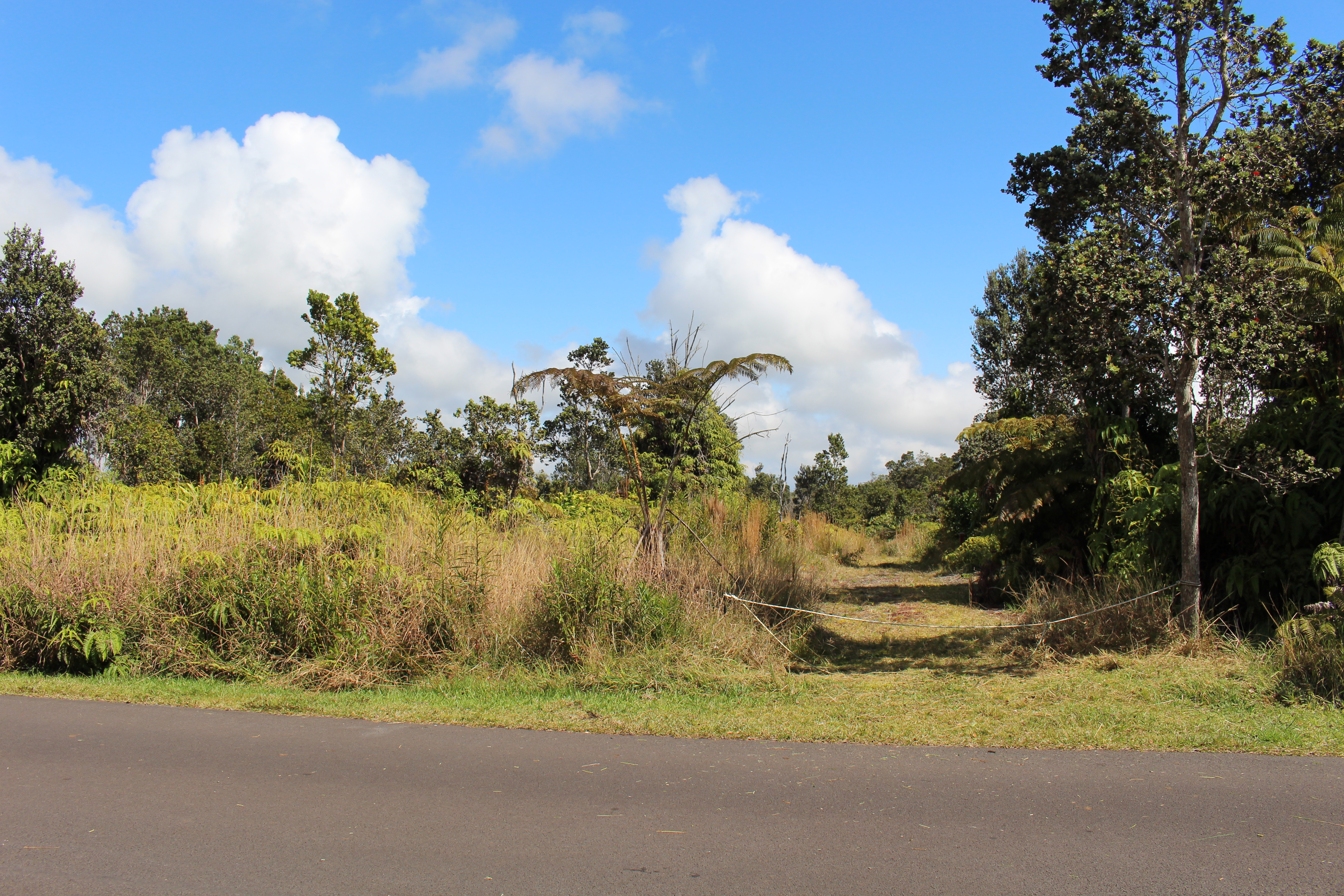 Nahelenani St Property Photo 4