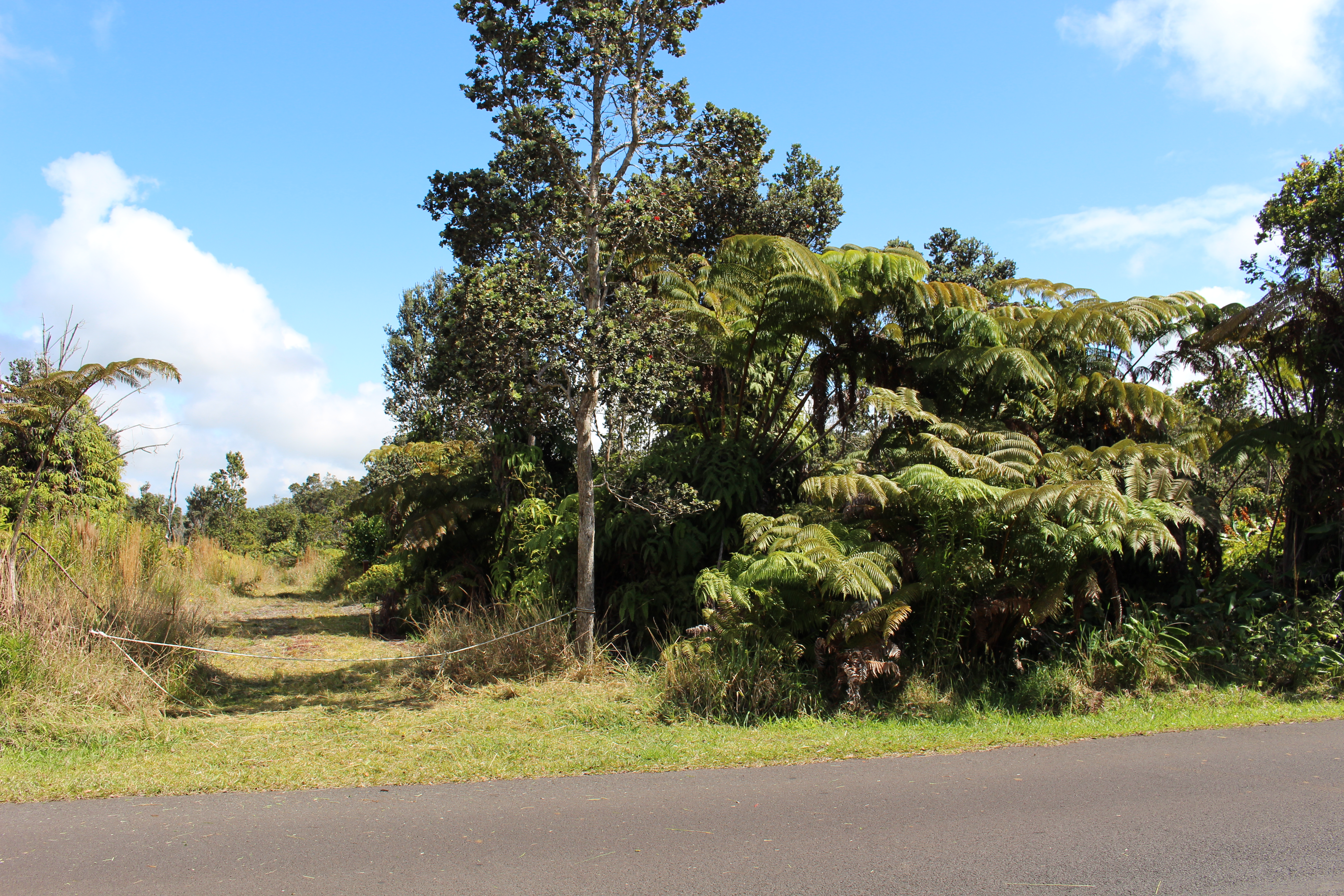 Nahelenani St Property Photo 6