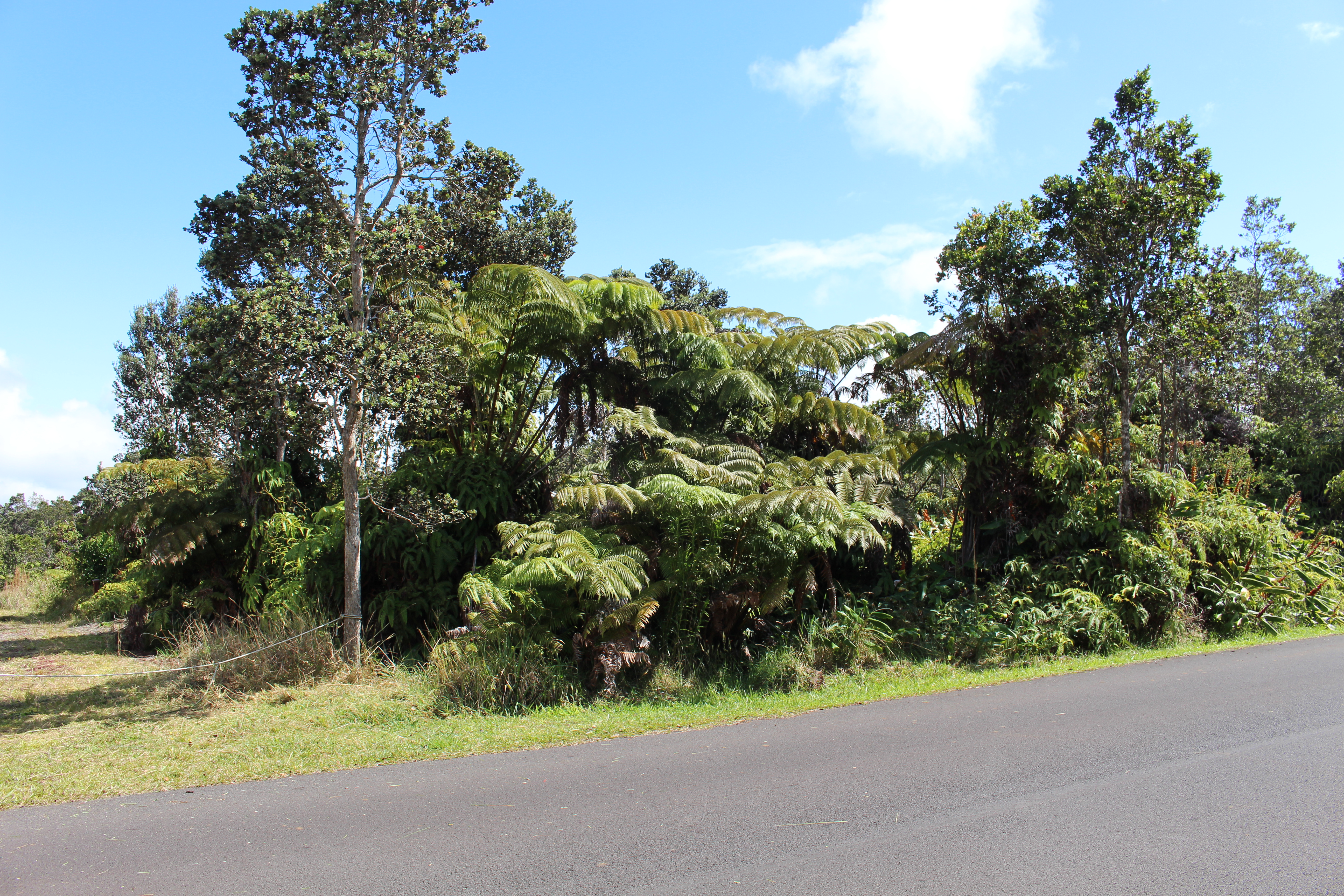Nahelenani St Property Photo 7