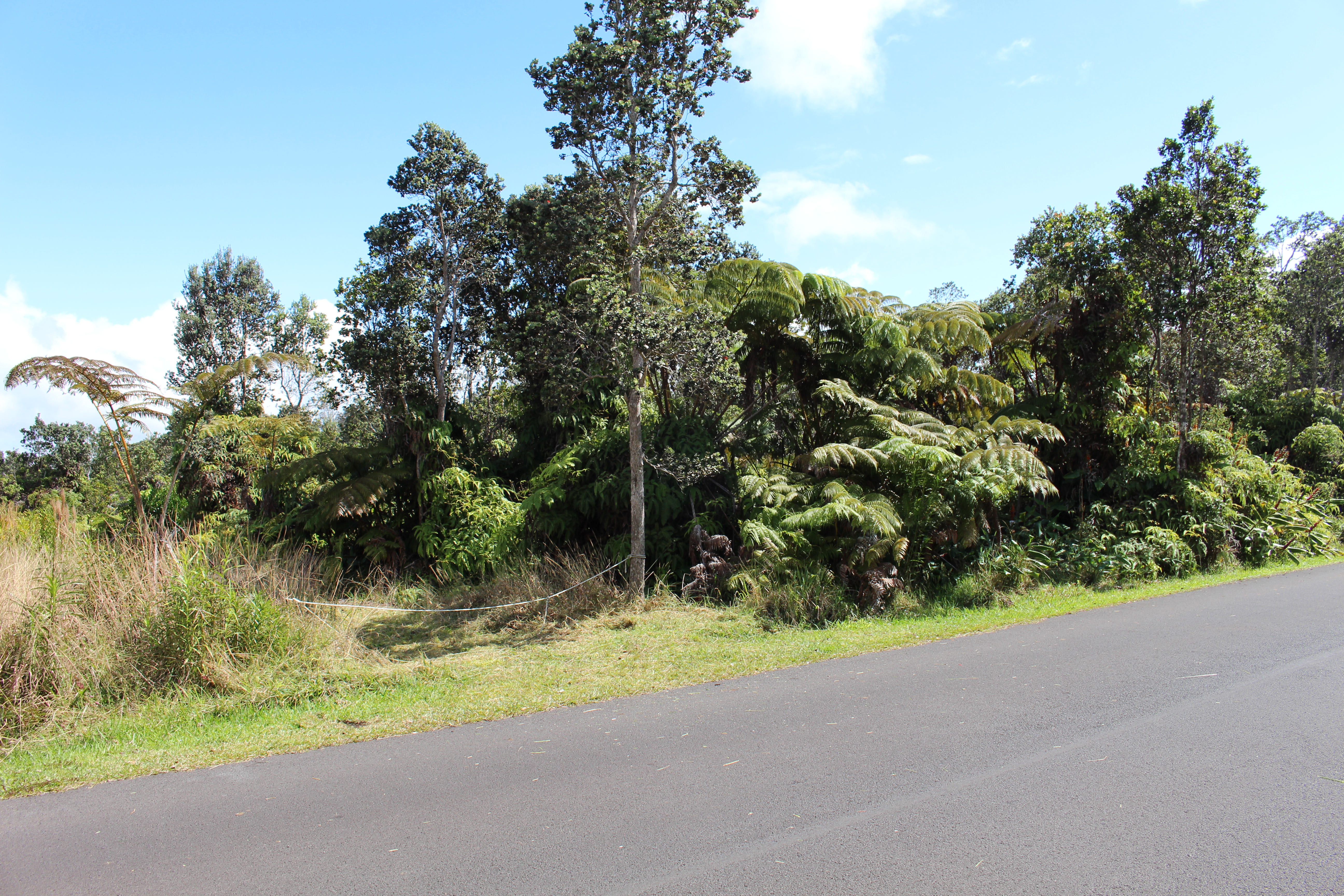 Nahelenani St Property Photo 8