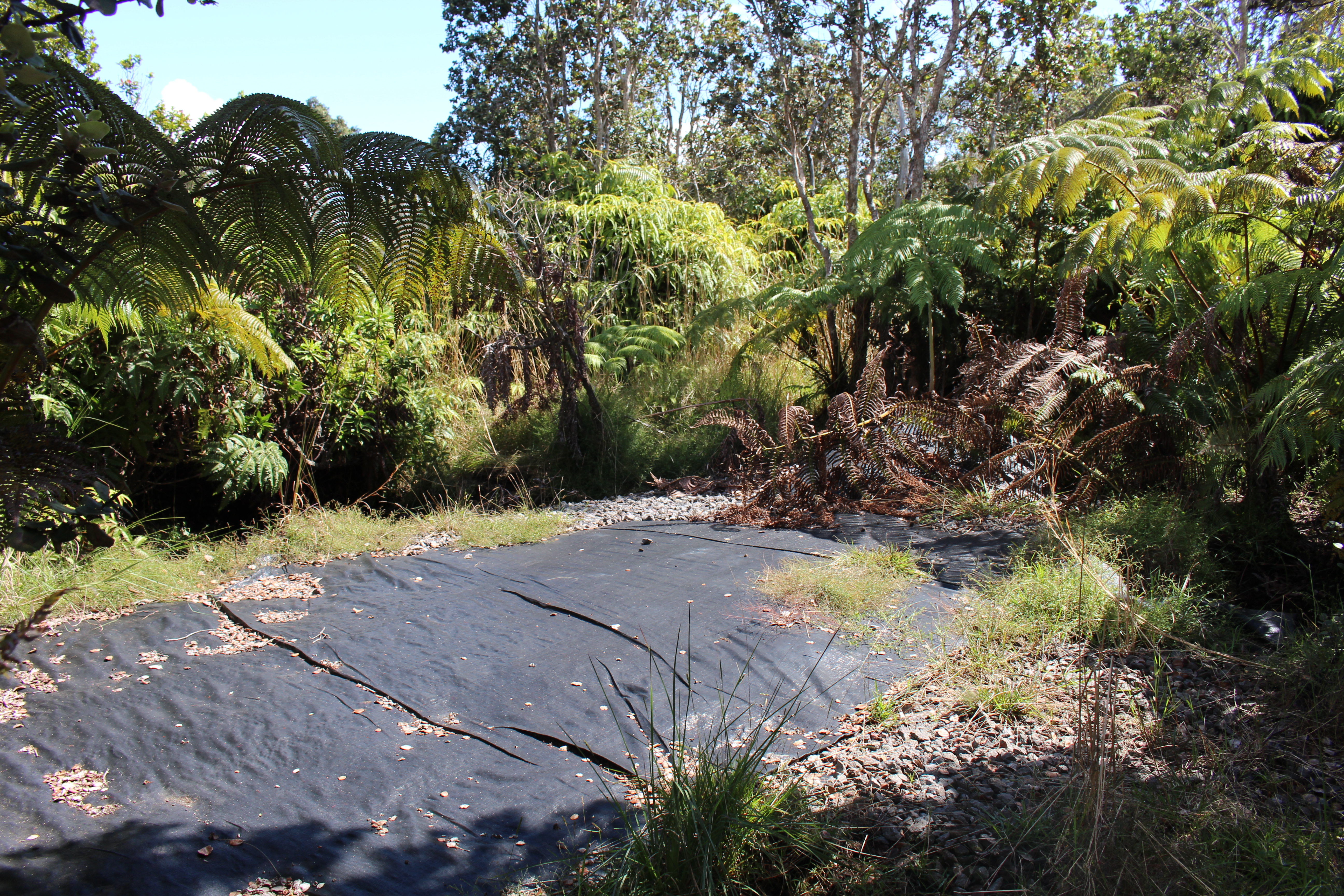 Nahelenani St Property Photo 10