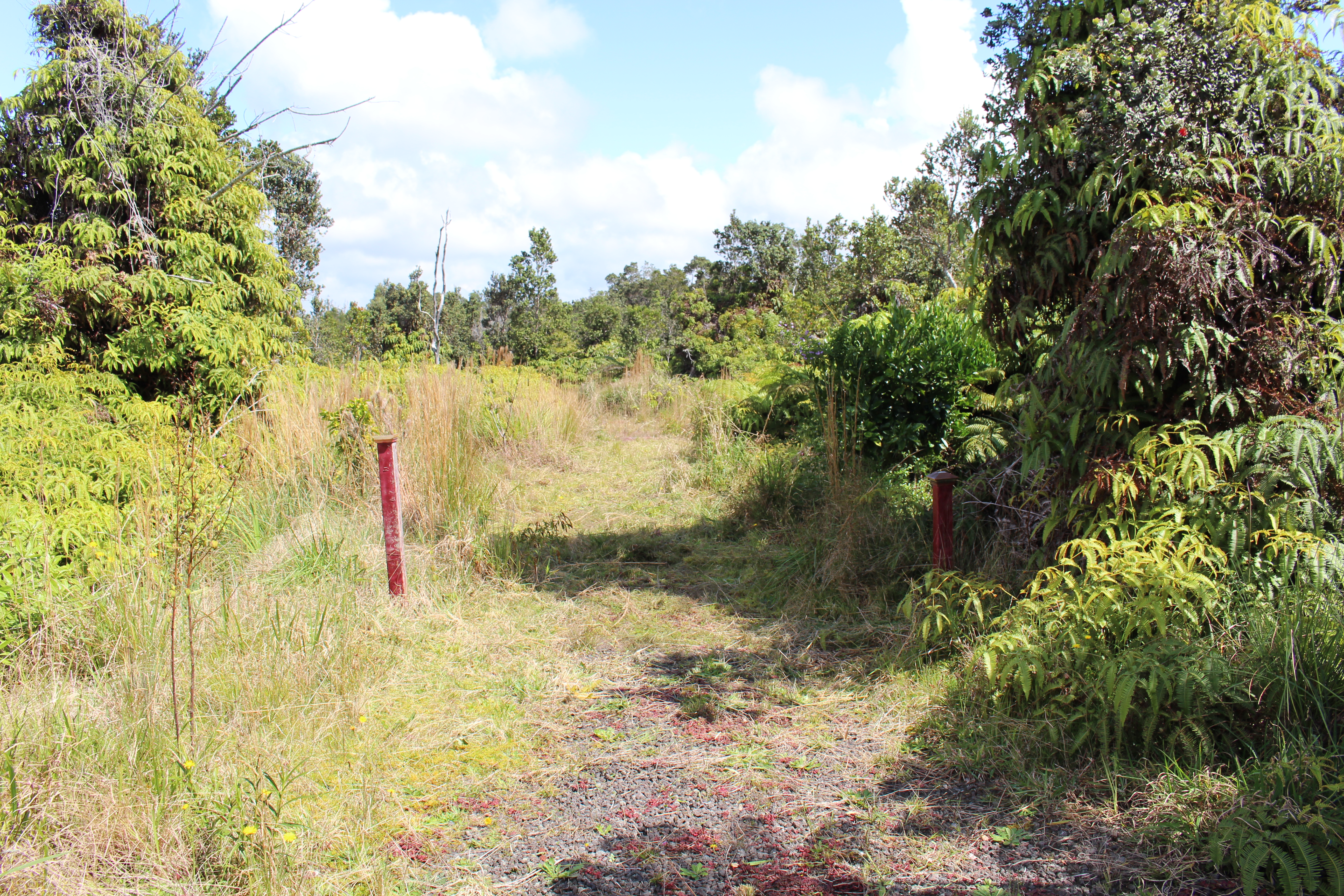 Nahelenani St Property Photo 11