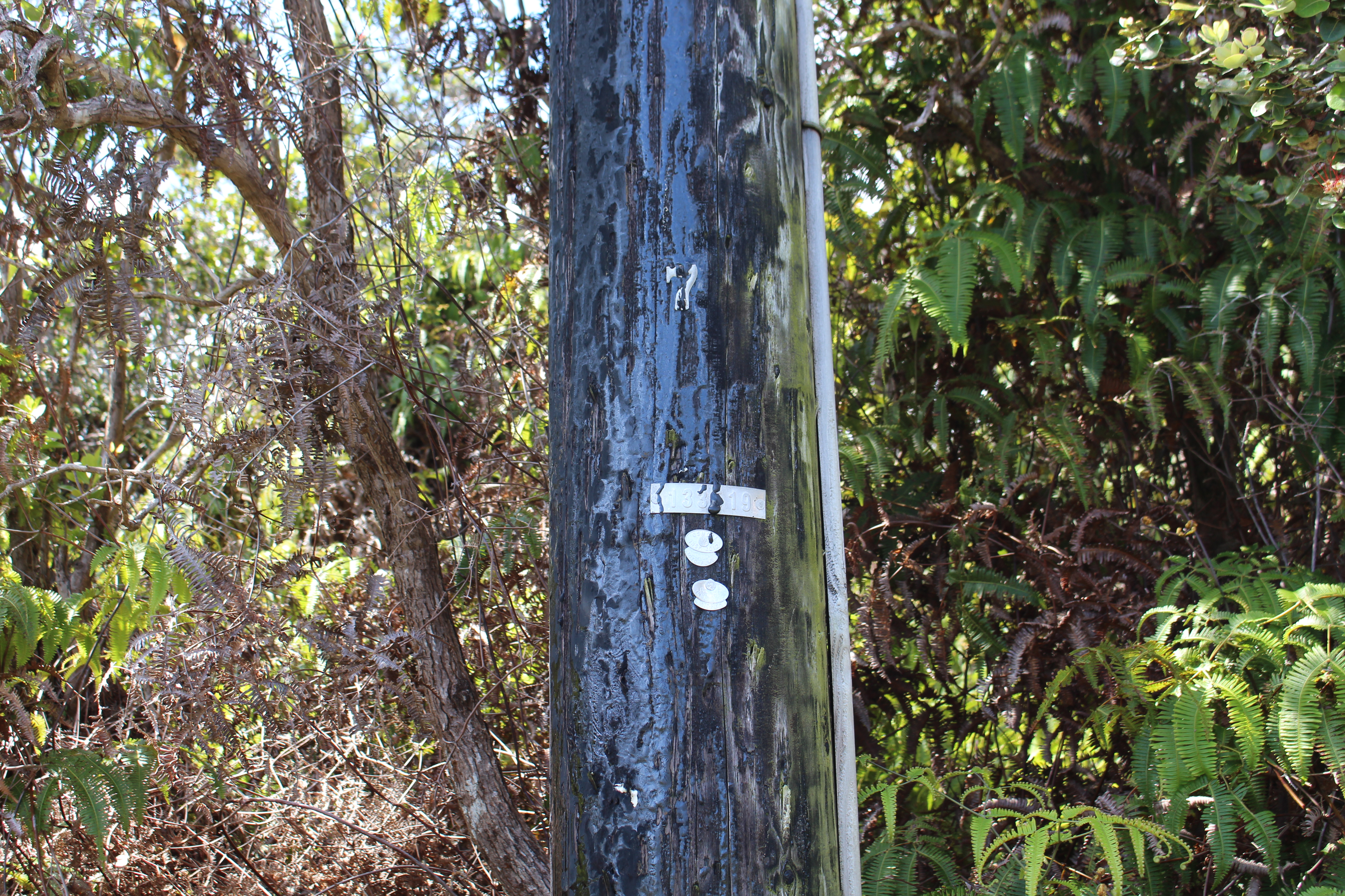 Nahelenani St Property Photo 12