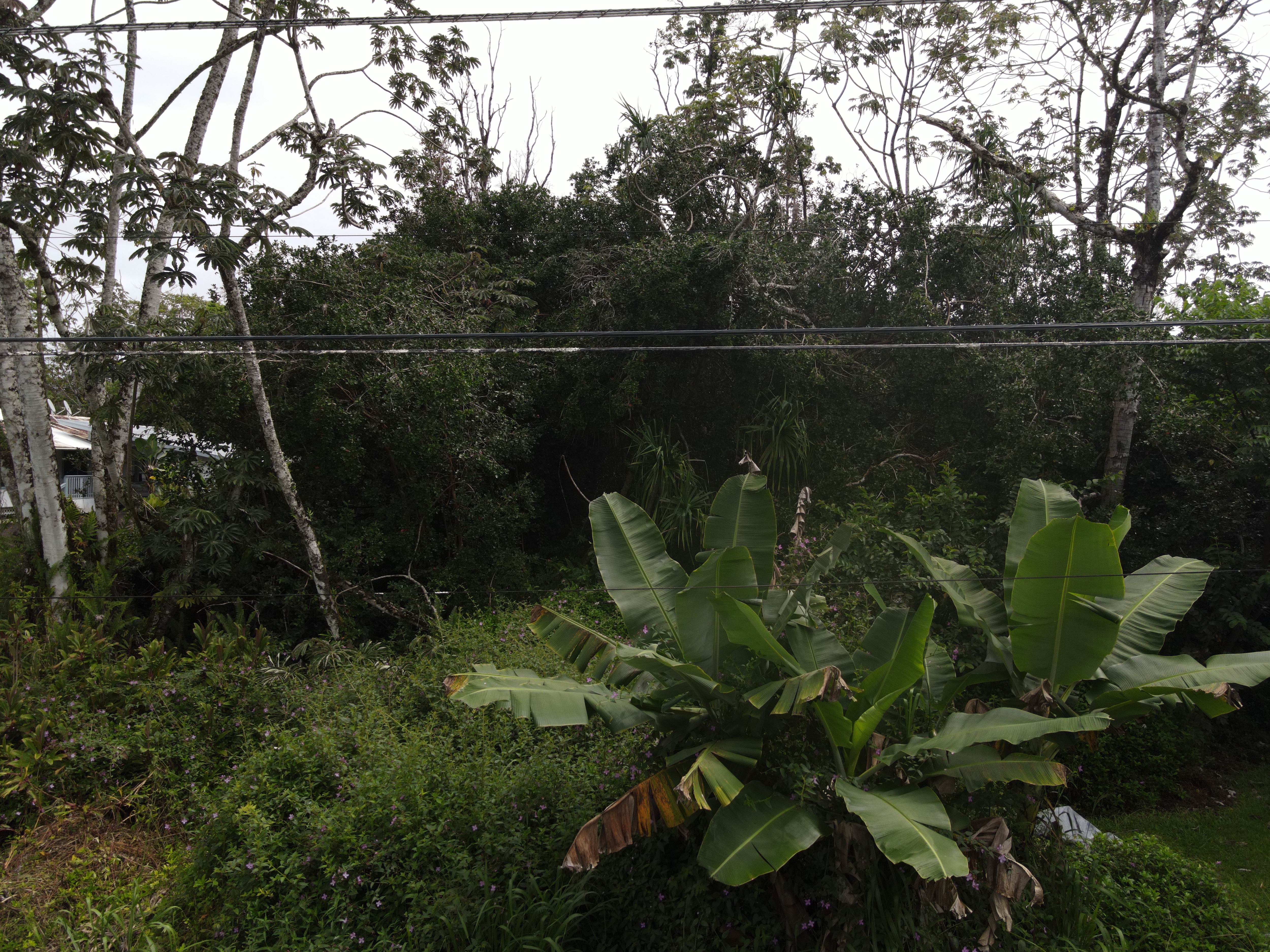 Moana St Property Photo 4